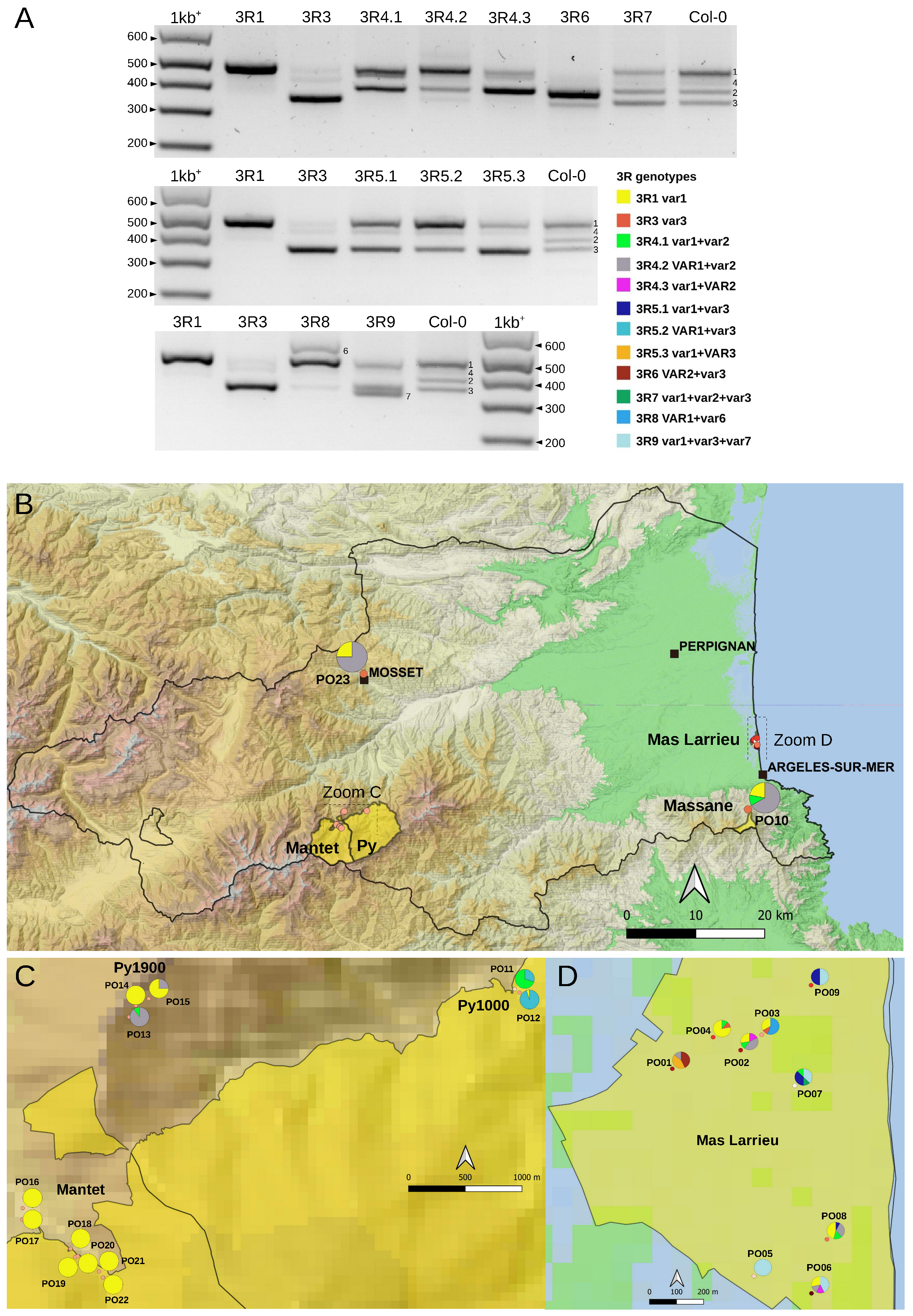 Plants 12 02722 g004 Plants 12 02722 g004