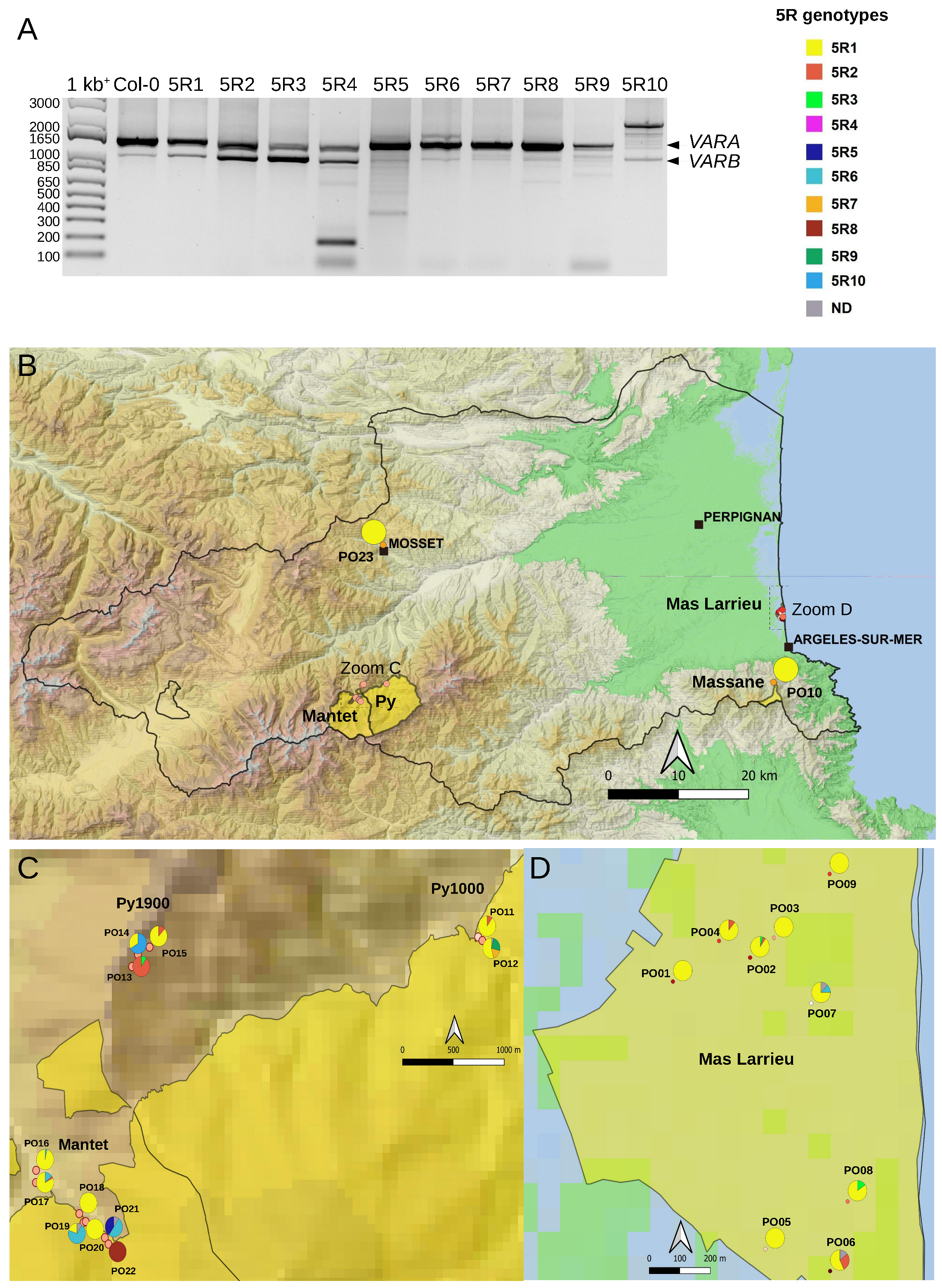 Plants 12 02722 g006 Plants 12 02722 g006