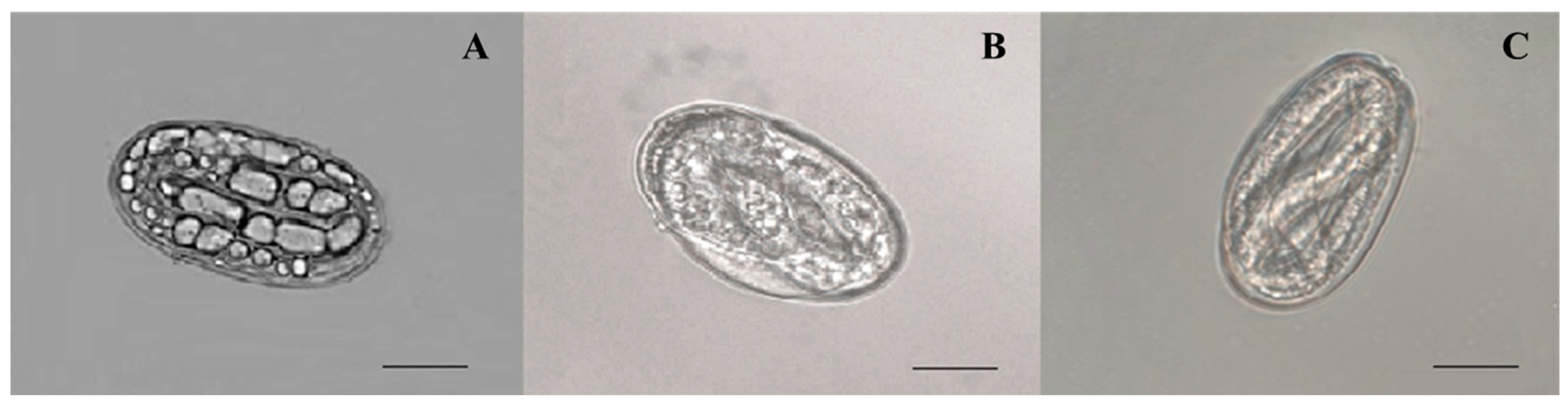 Plants 12 02724 g002 Plants 12 02724 g002