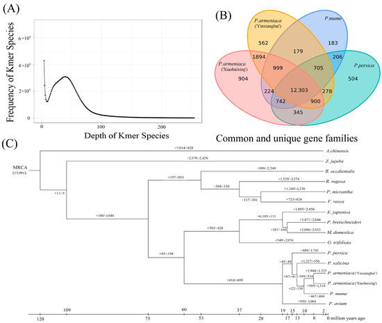 Blue genome: chromosome‐scale genome reveals the evolutionary and molecular  basis of indigo biosynthesis in Strobilanthes cusia - Xu - 2020 - The Plant  Journal - Wiley Online Library