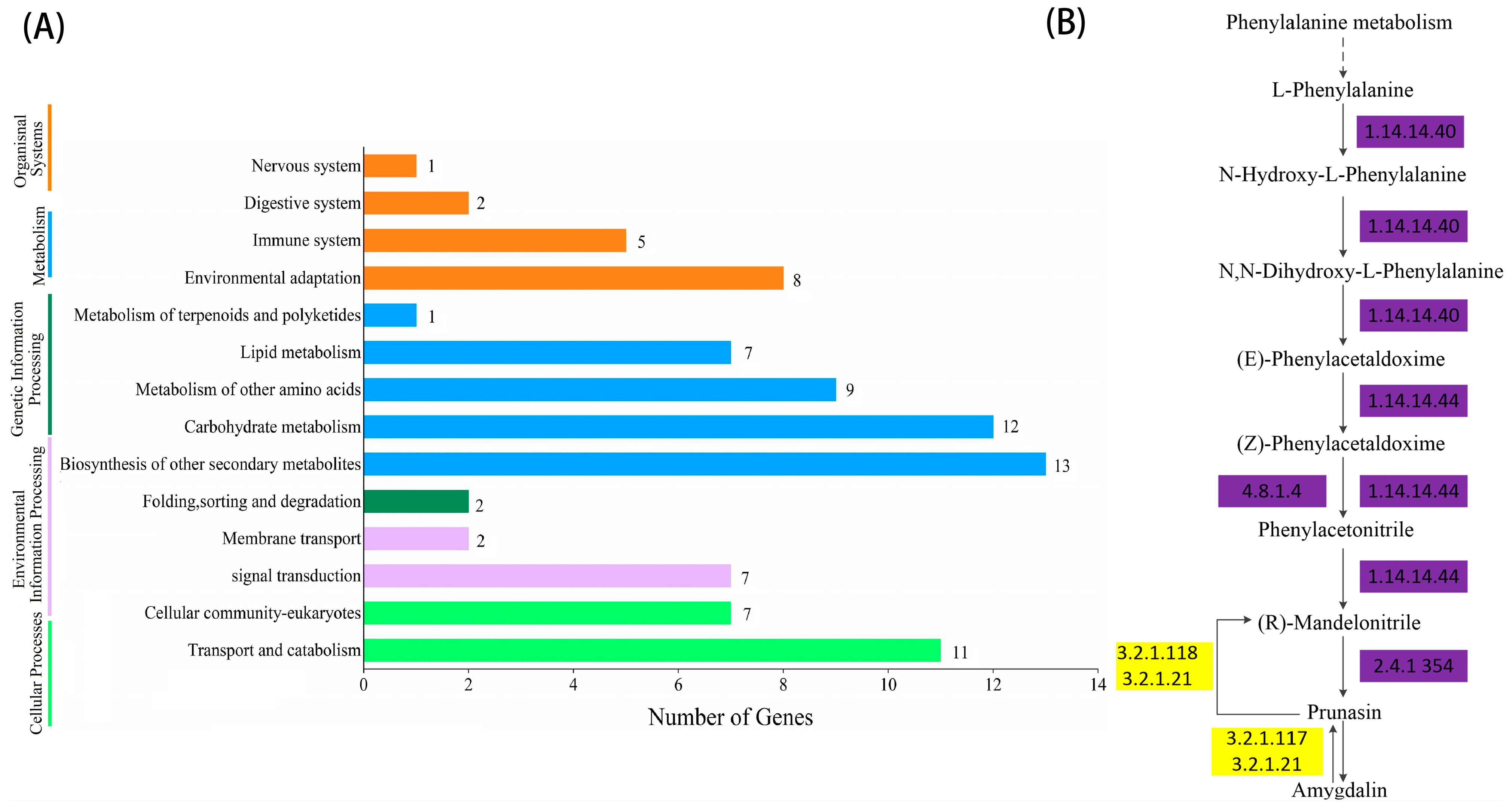 Plants 12 02756 g002