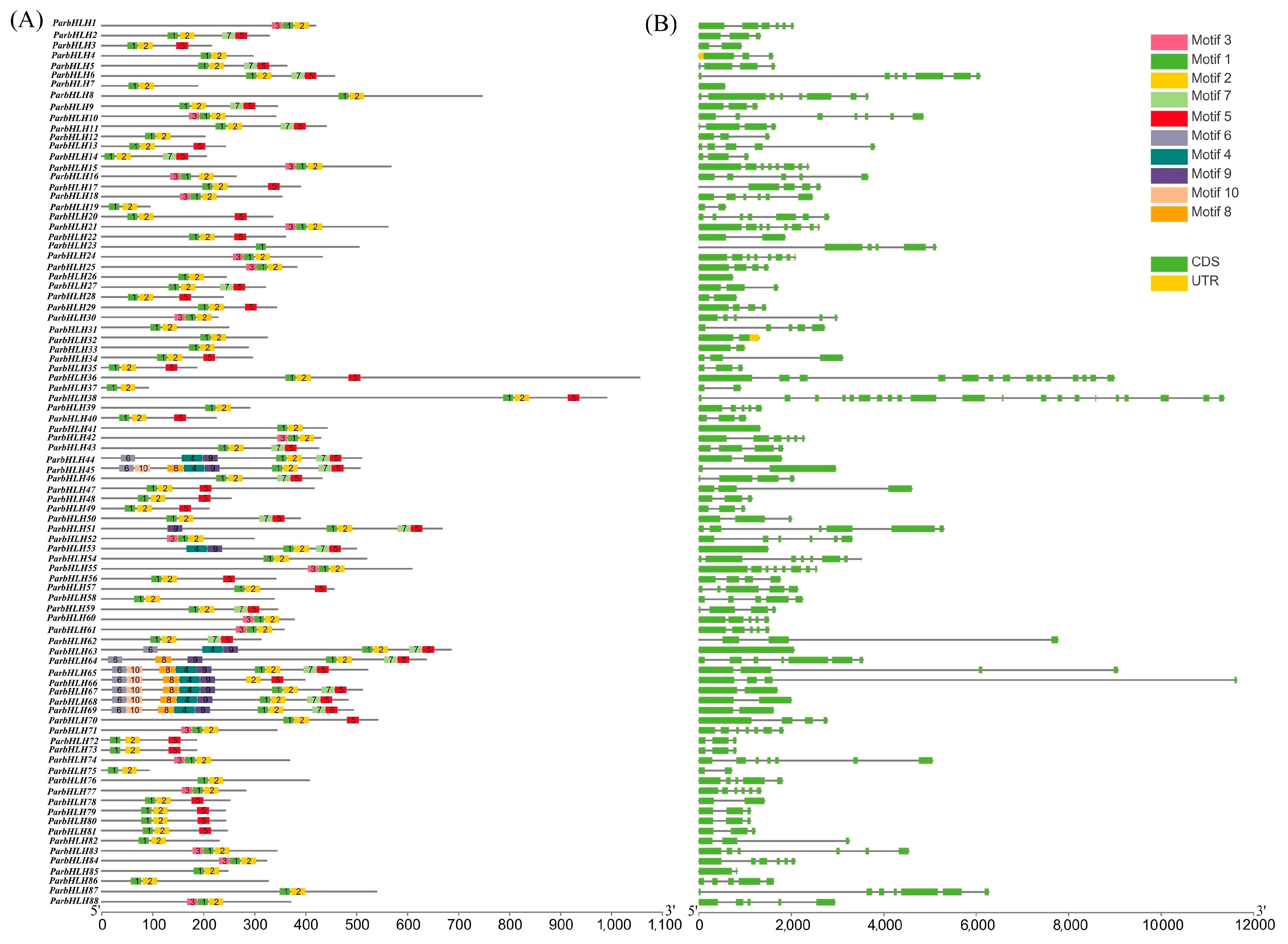 Plants 12 02756 g006