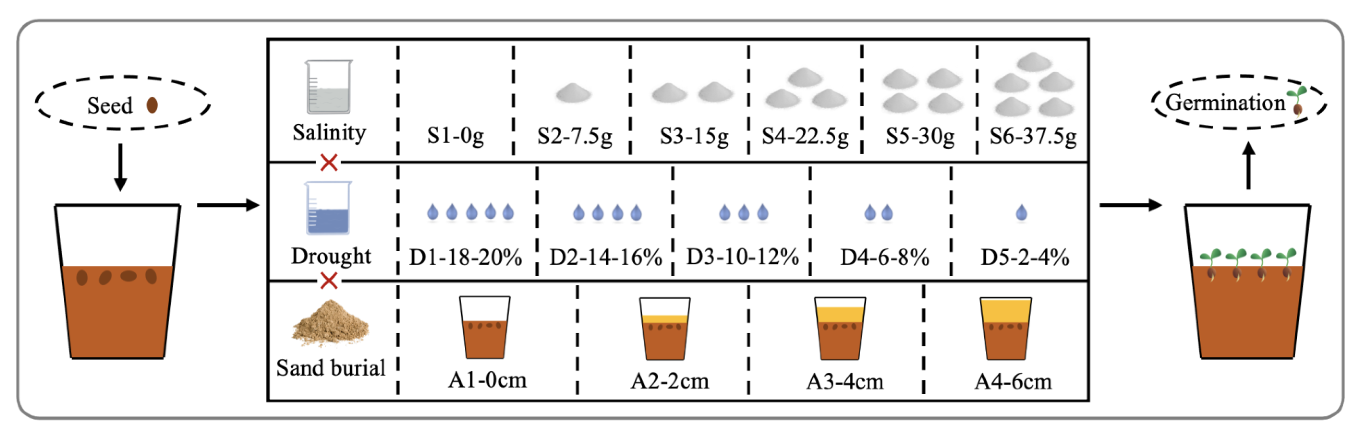 Plants 12 02766 g003 Plants 12 02766 g003