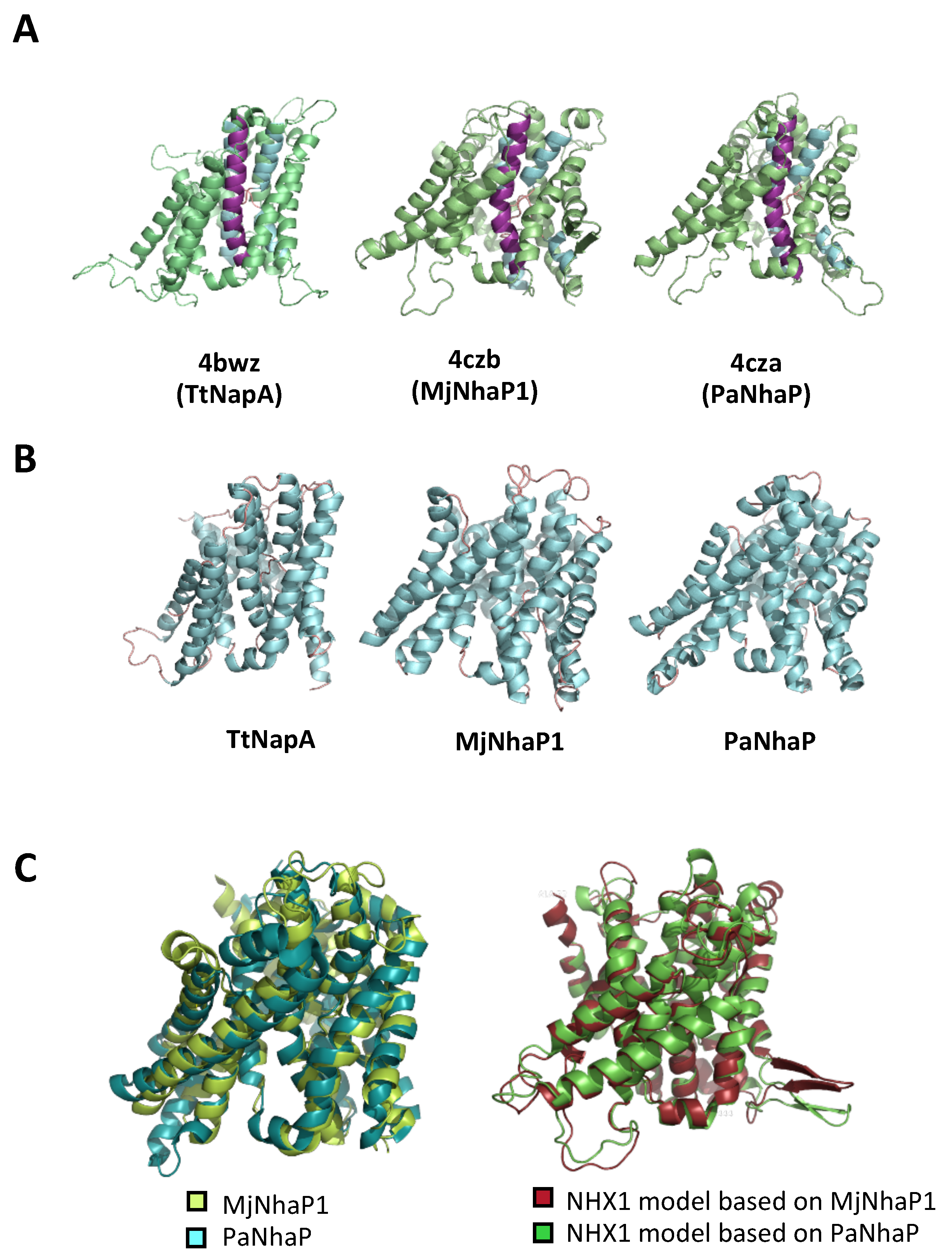 Plants 12 02778 g002