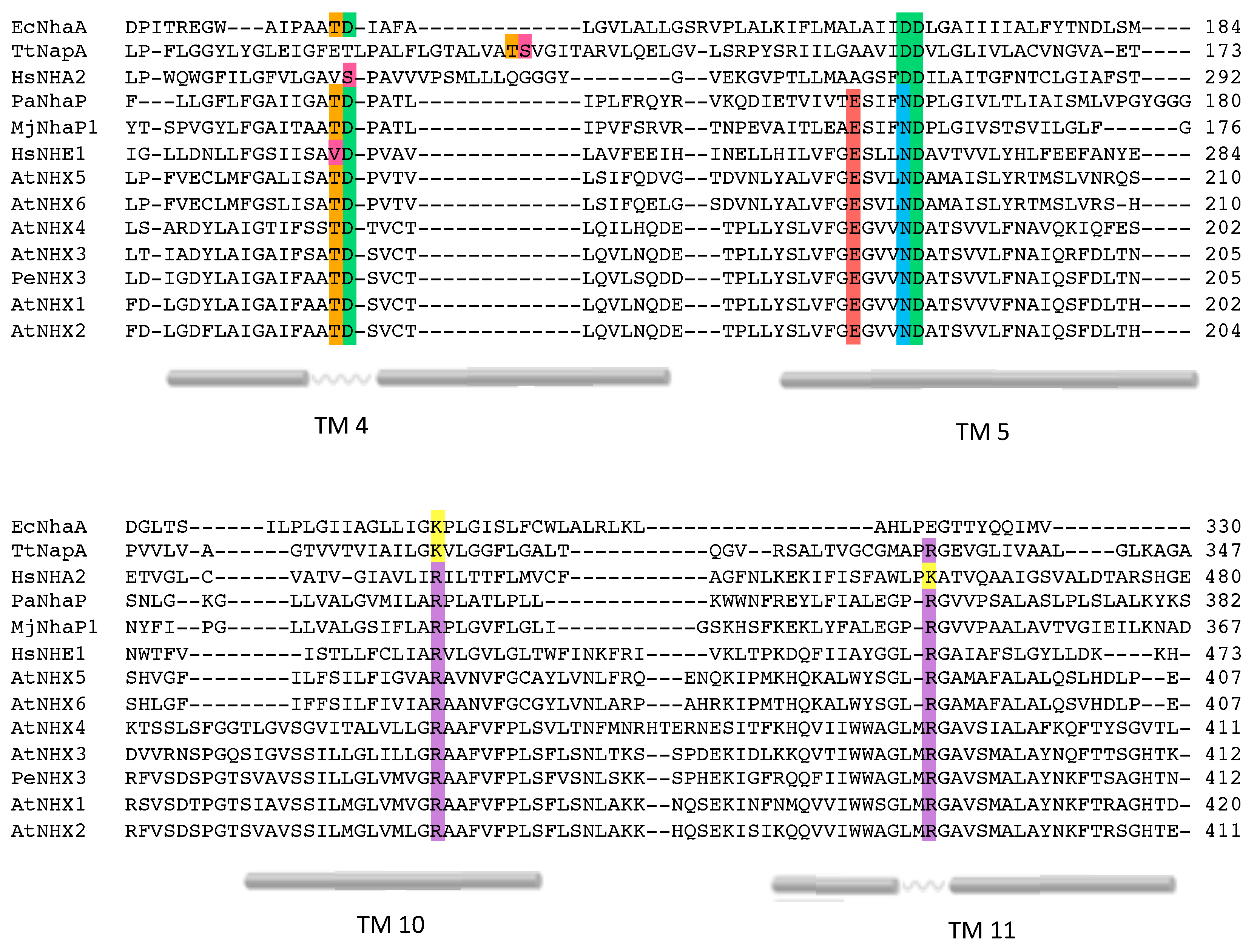 Plants 12 02778 g004