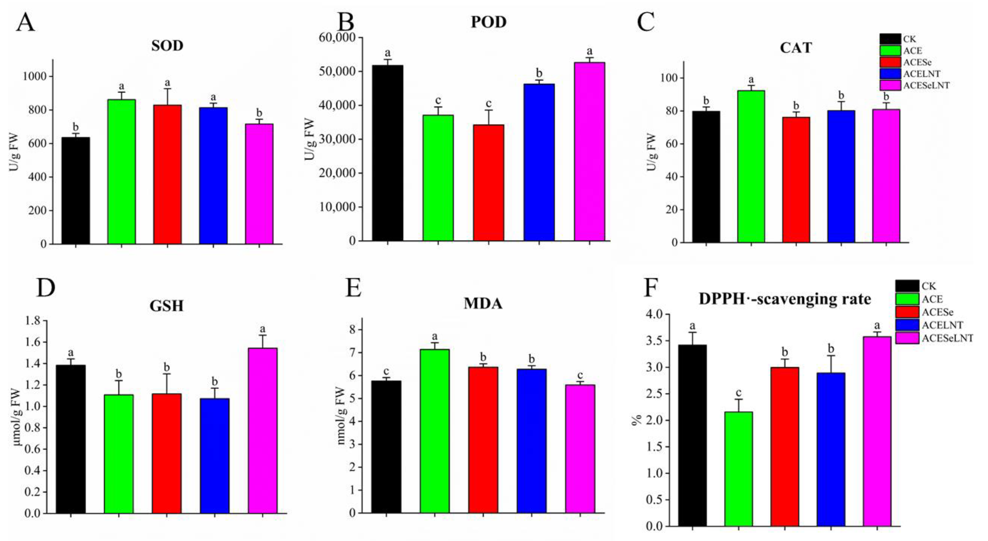 Plants 12 02781 g004