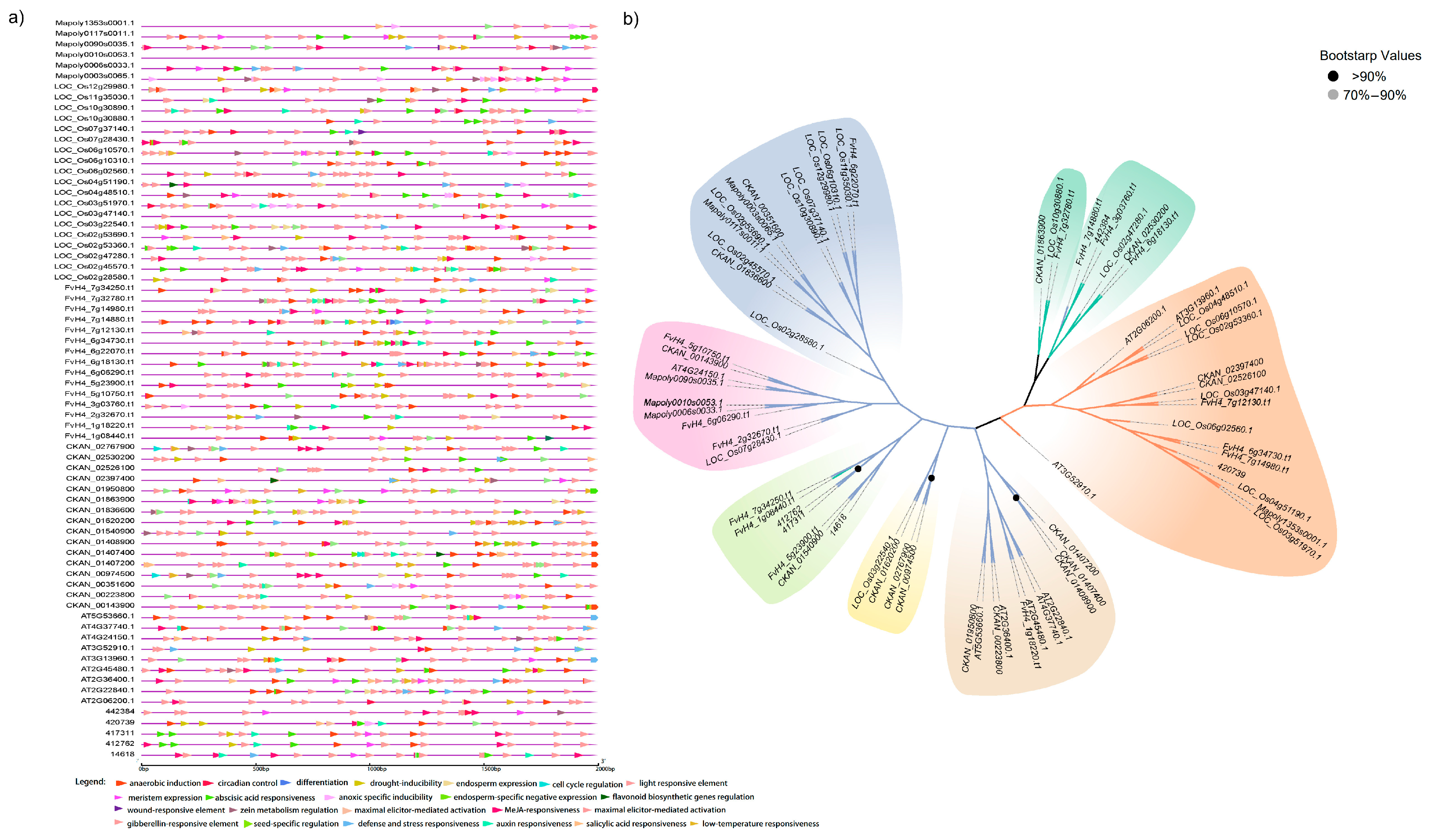 Plants 12 02790 g002