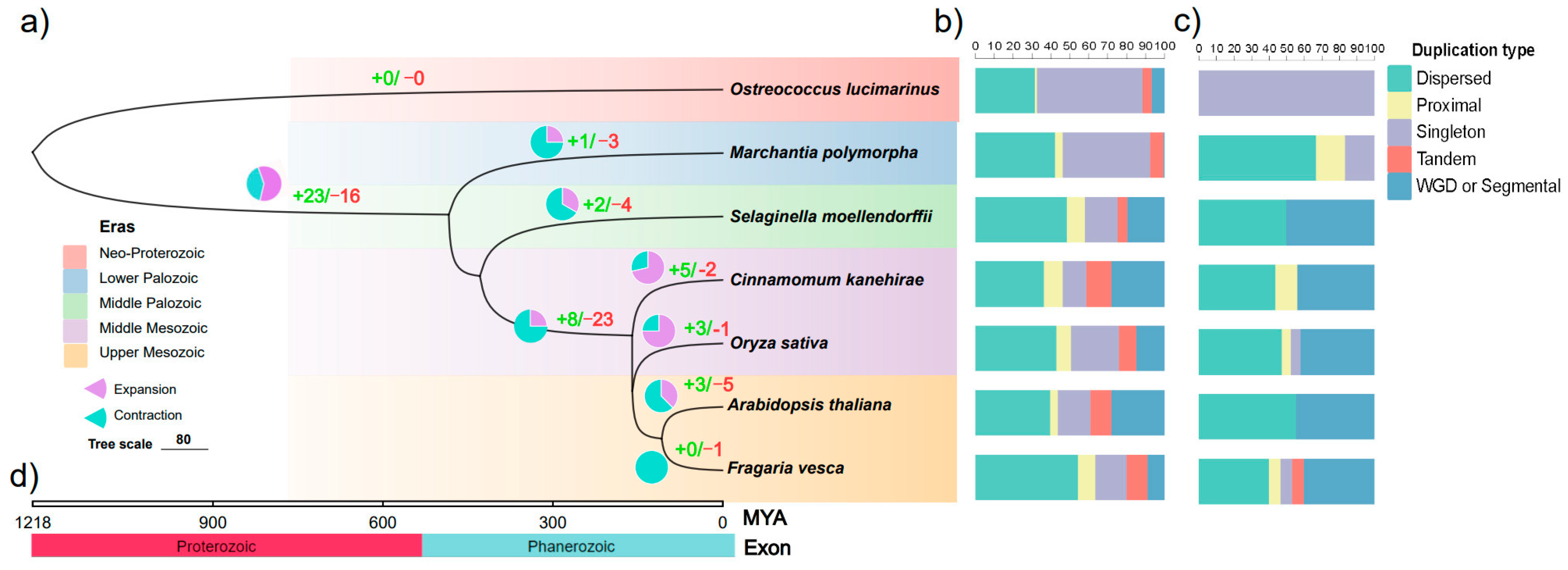 Plants 12 02790 g003