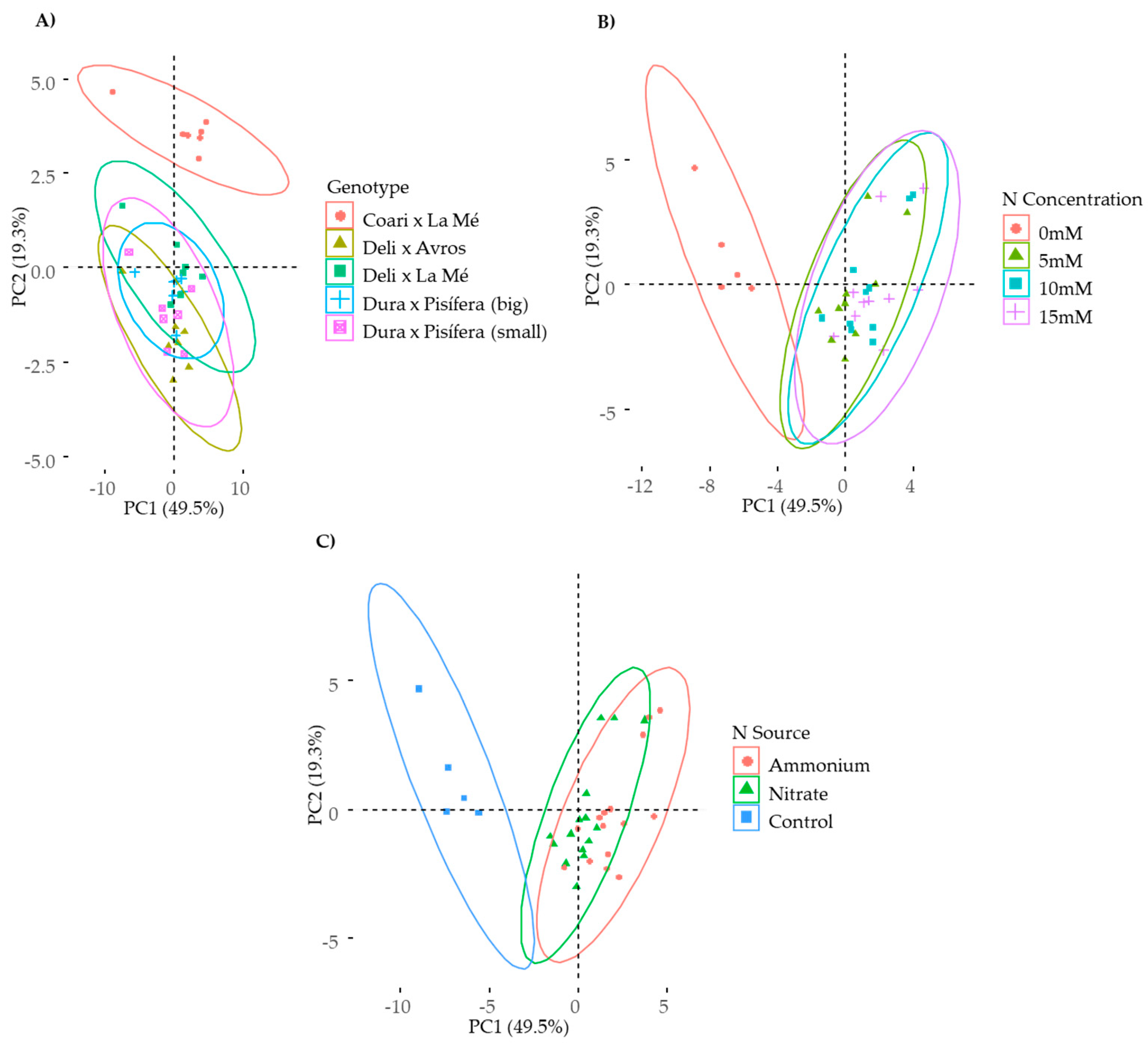 Plants 12 02819 g001