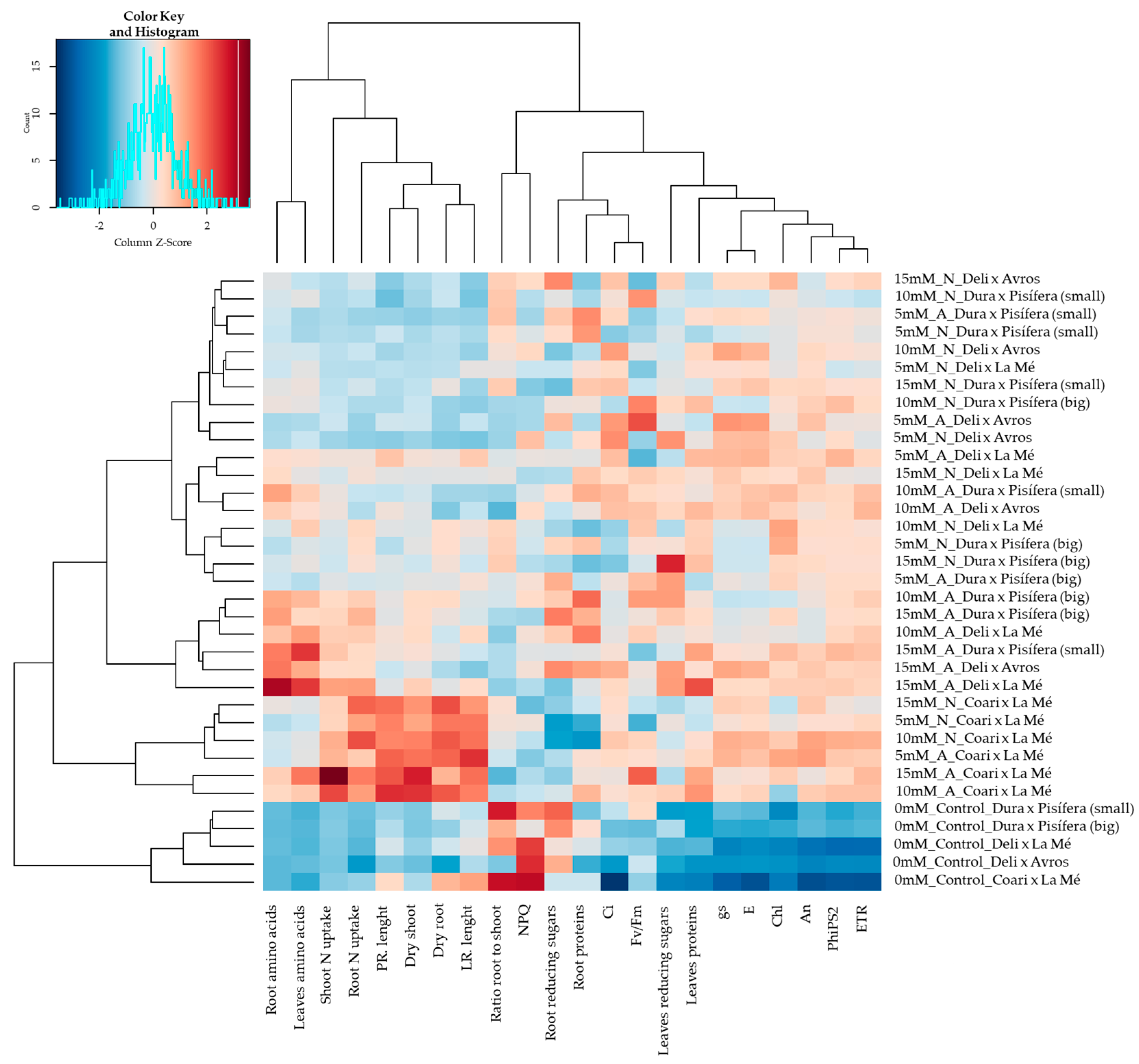 Plants 12 02819 g002
