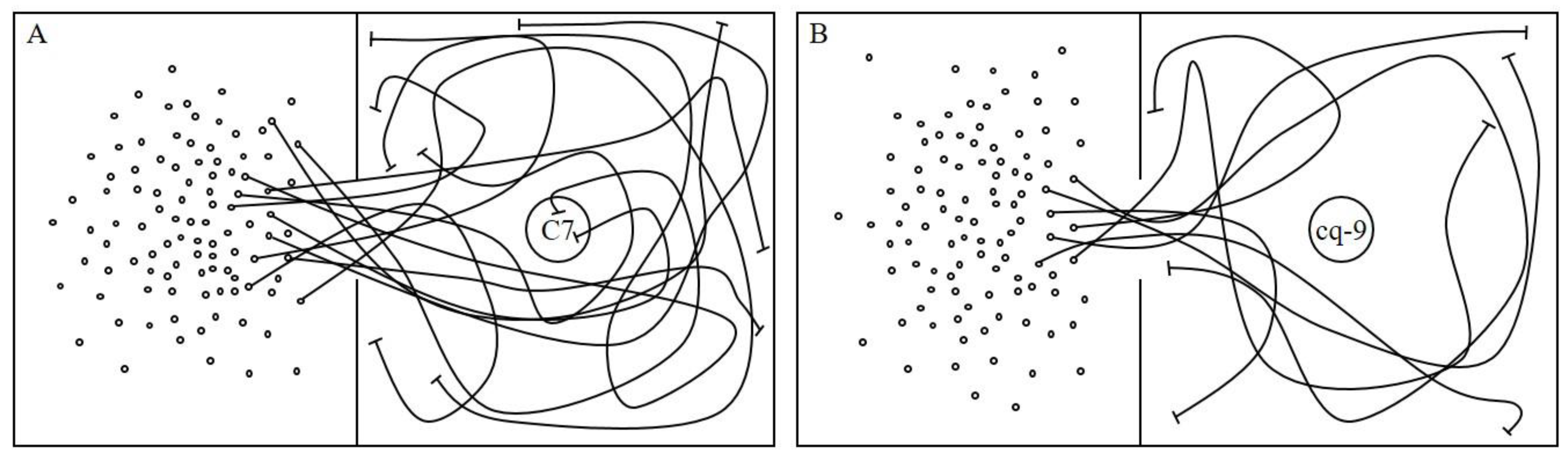 Plants 12 02821 g001