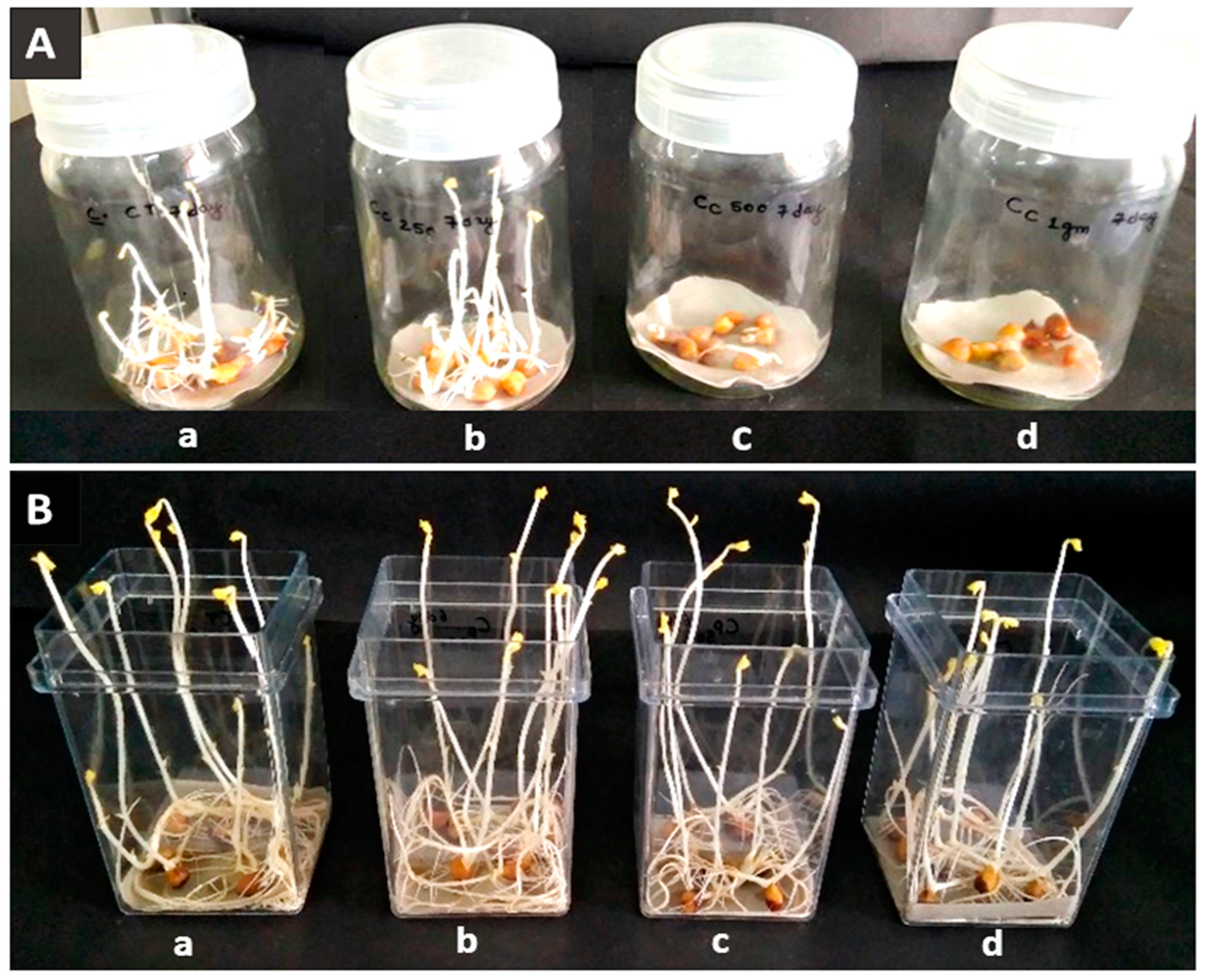 Plants 12 02823 g003 Plants 12 02823 g003