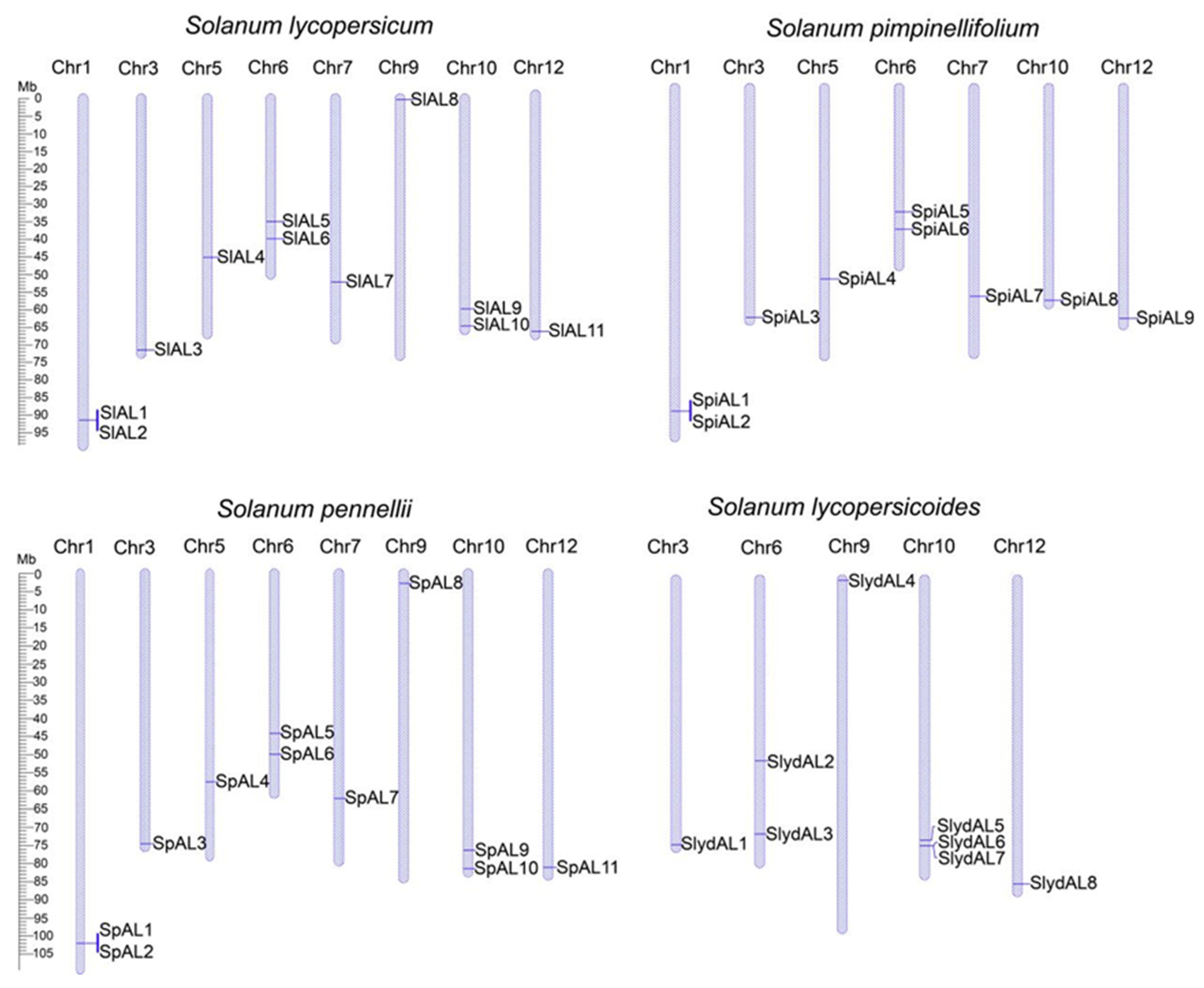 Plants 12 02829 g004