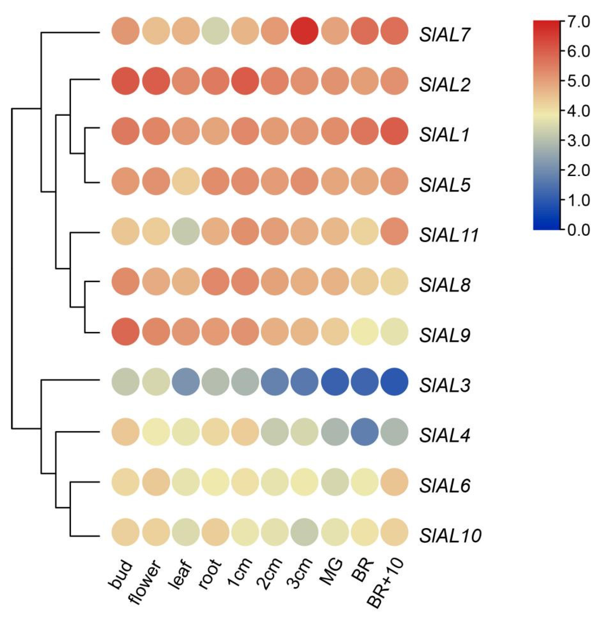 Plants 12 02829 g007