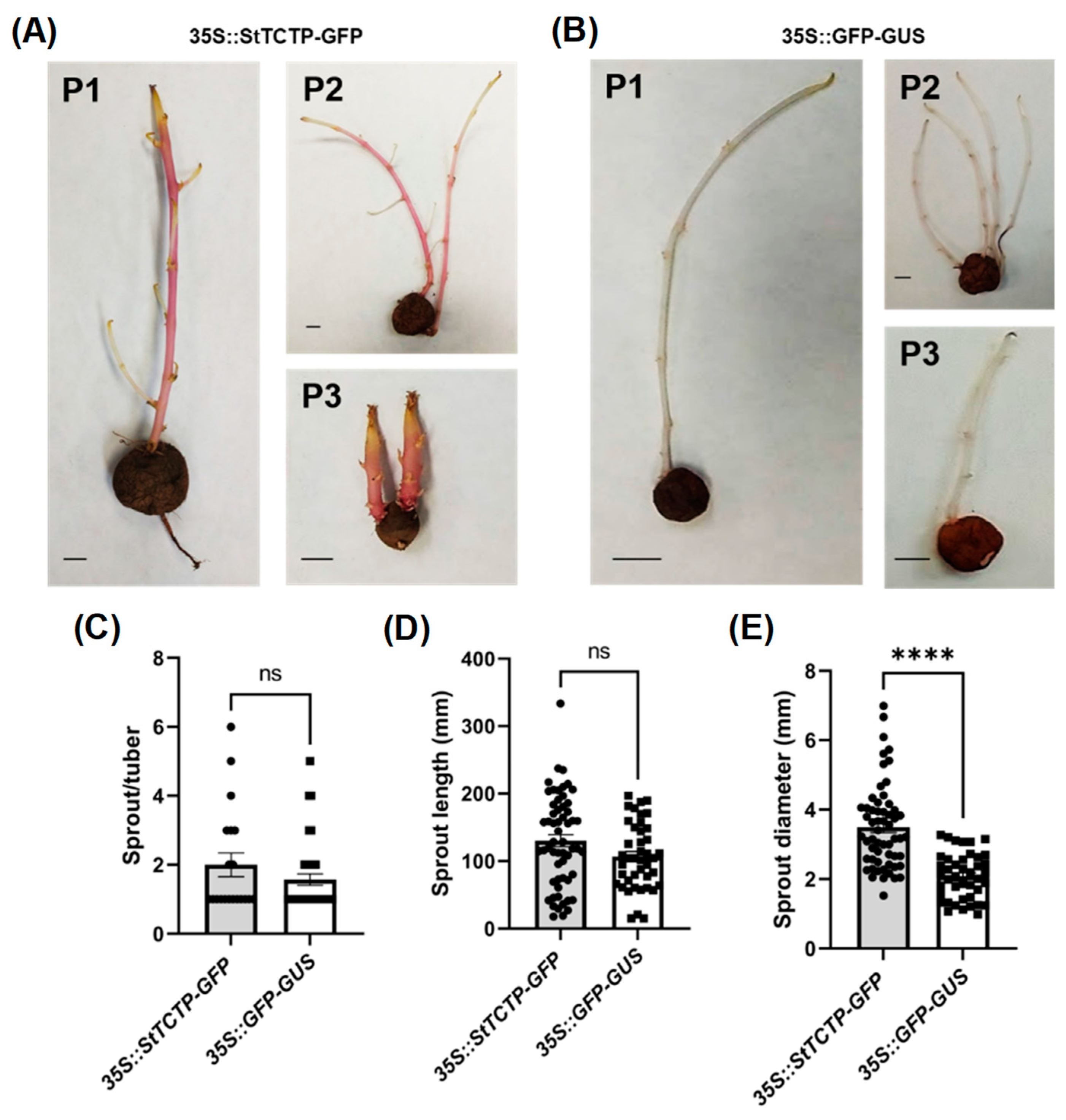 Plants 12 02839 g005 Plants 12 02839 g005