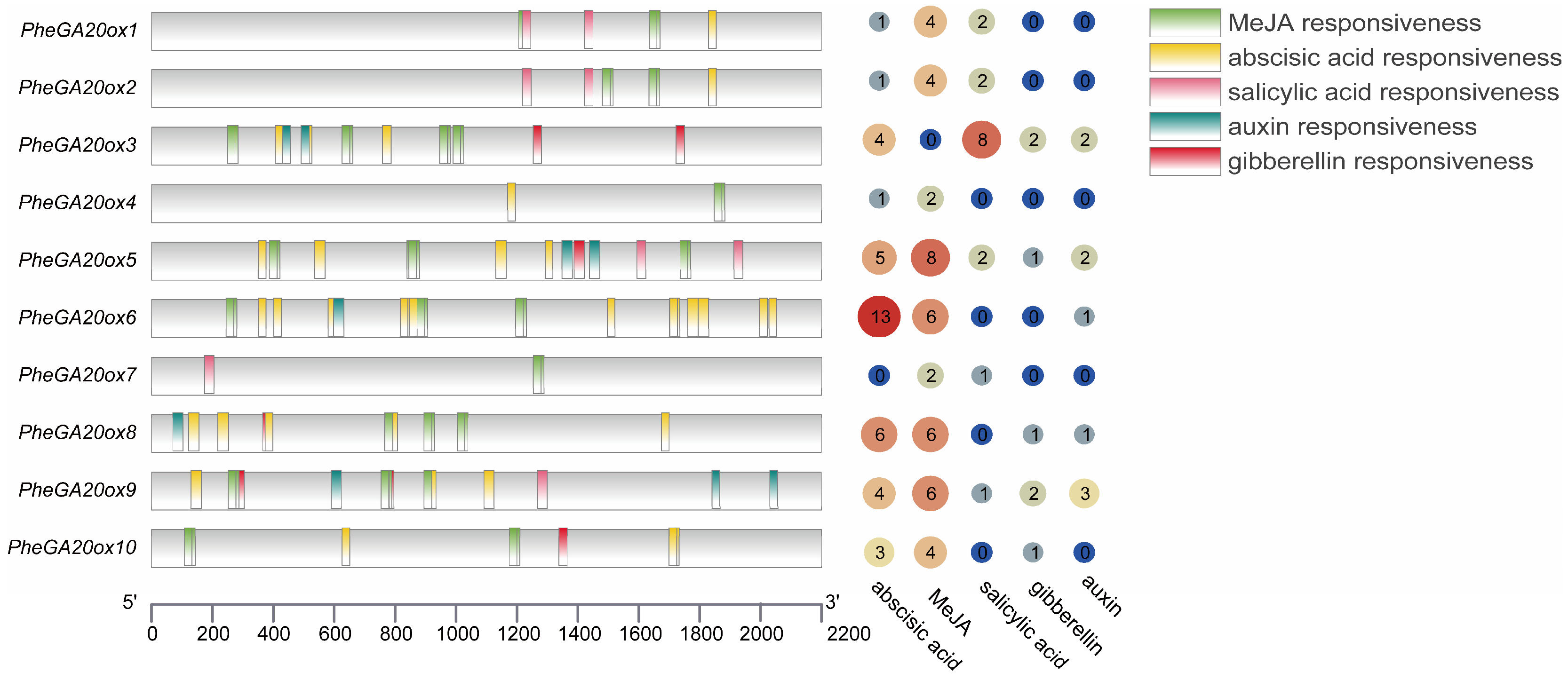 Plants 12 02842 g005 Plants 12 02842 g005