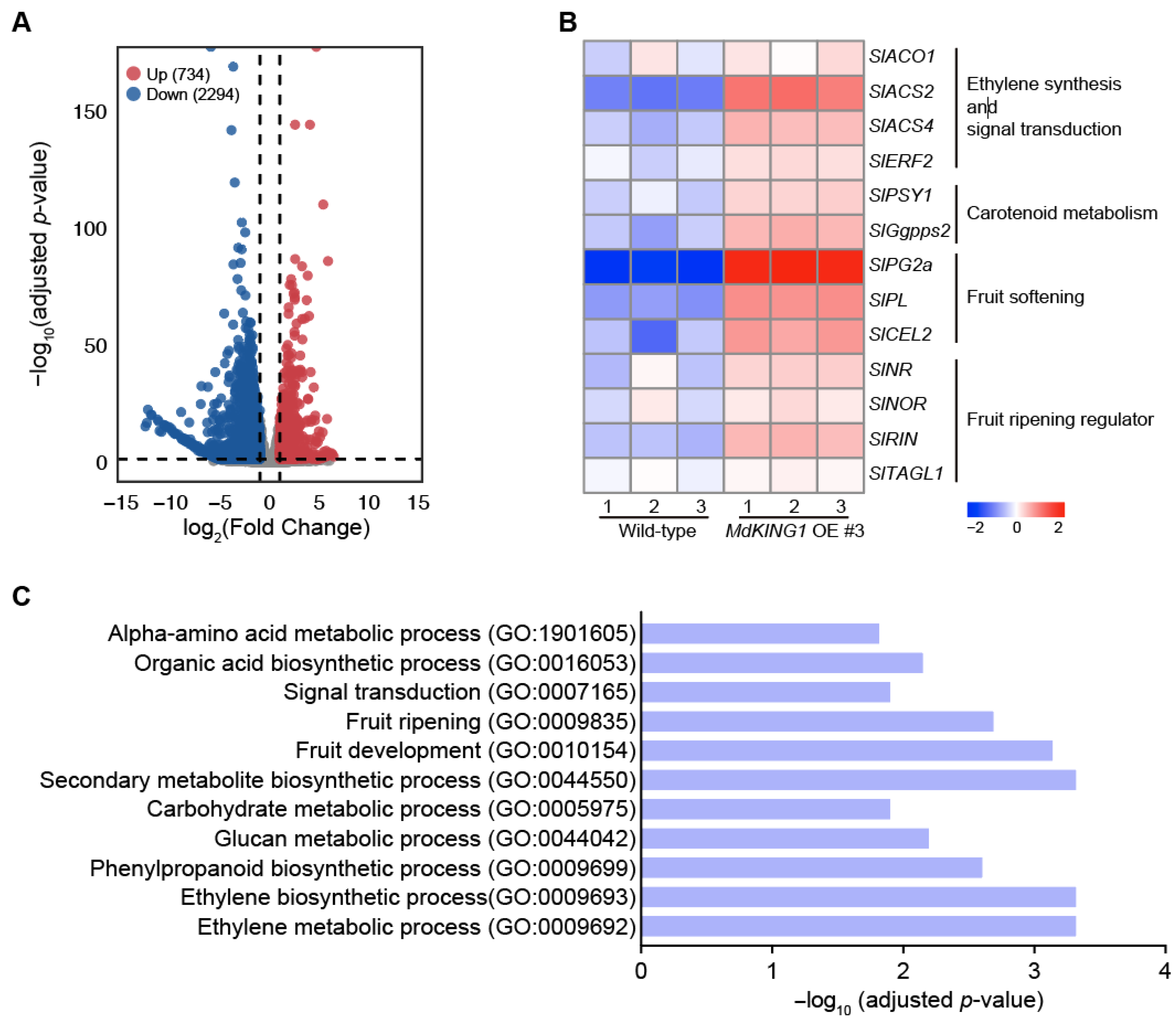 Plants 12 02848 g006