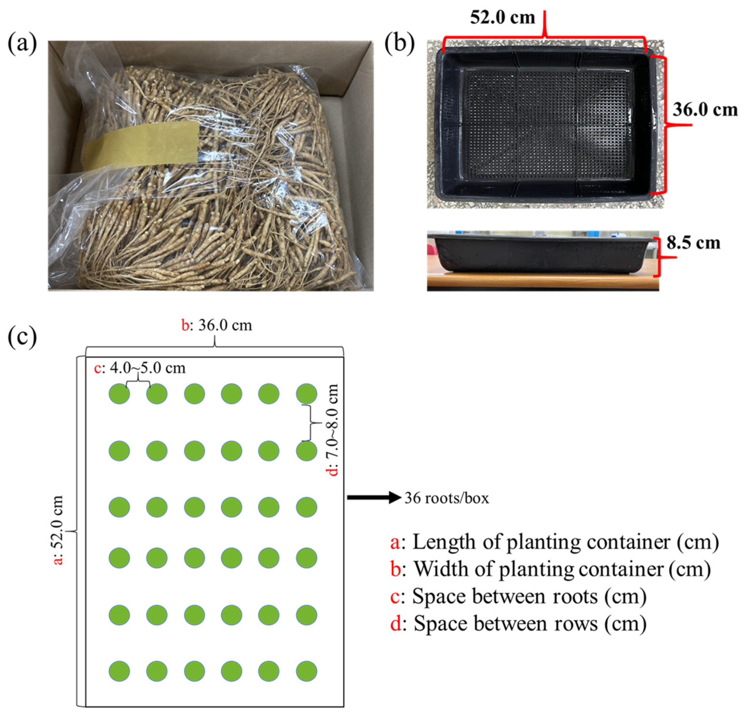 Plants 12 02849 g005