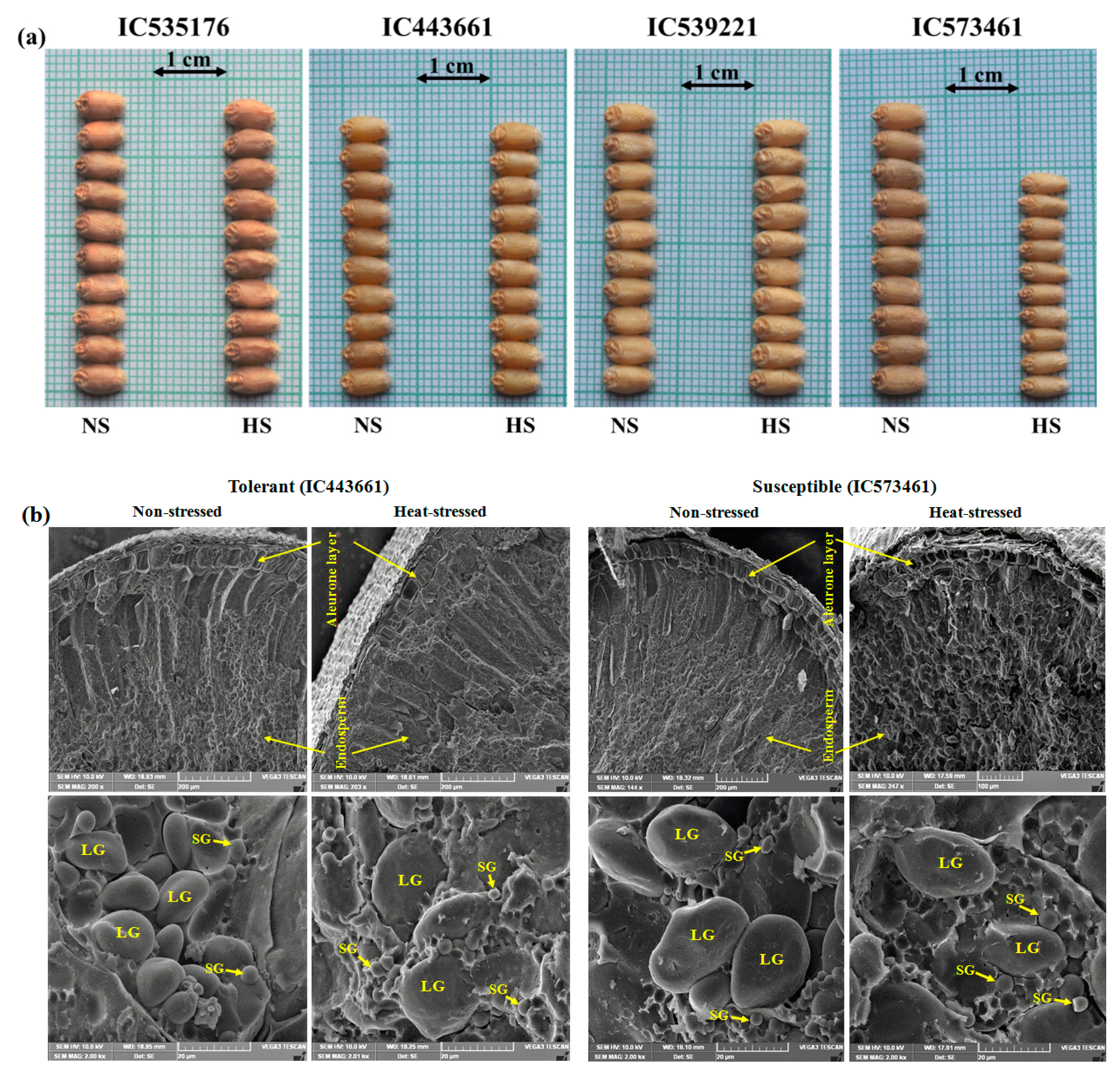 Plants 12 02851 g007