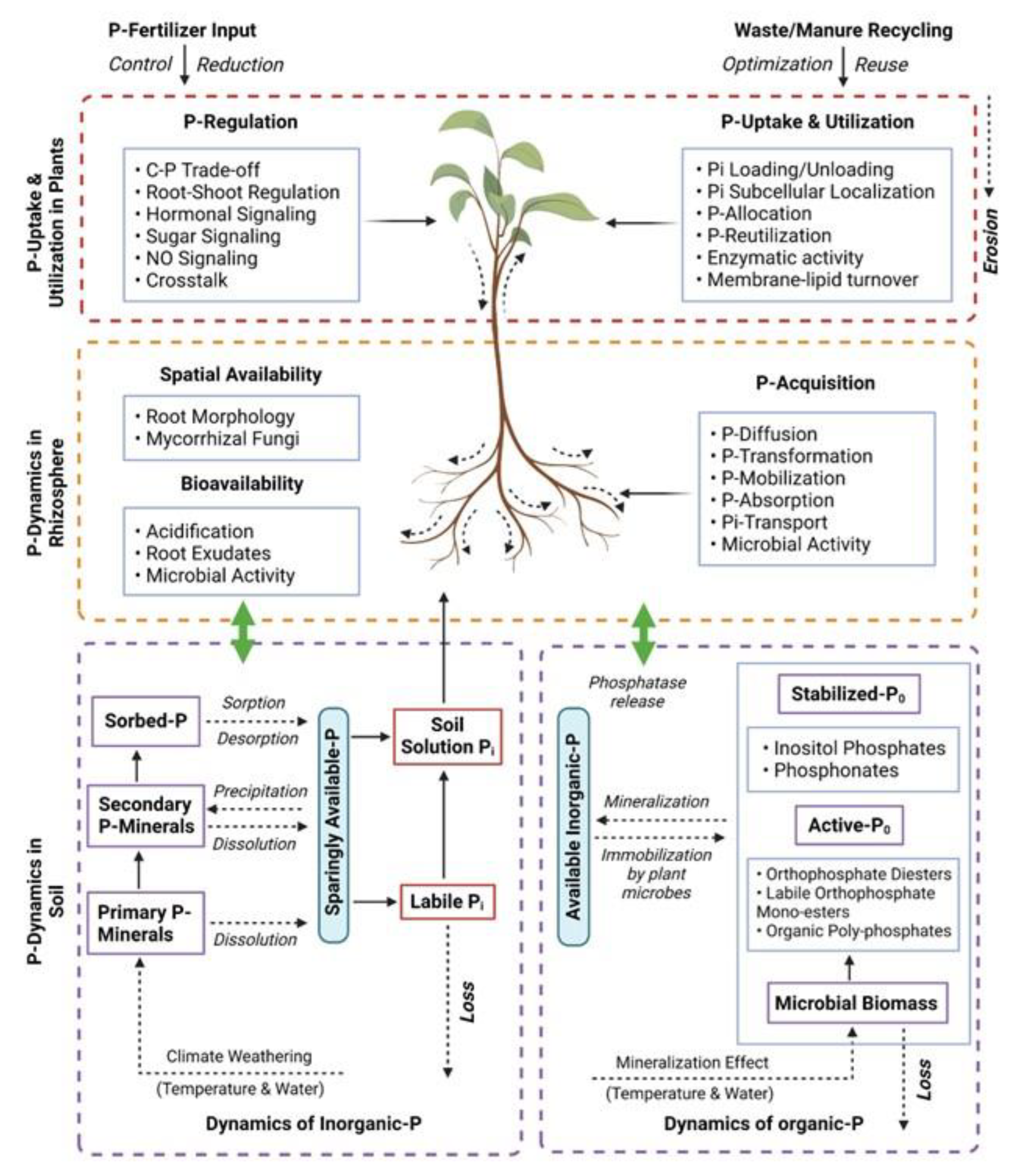 Plants 12 02861 g002