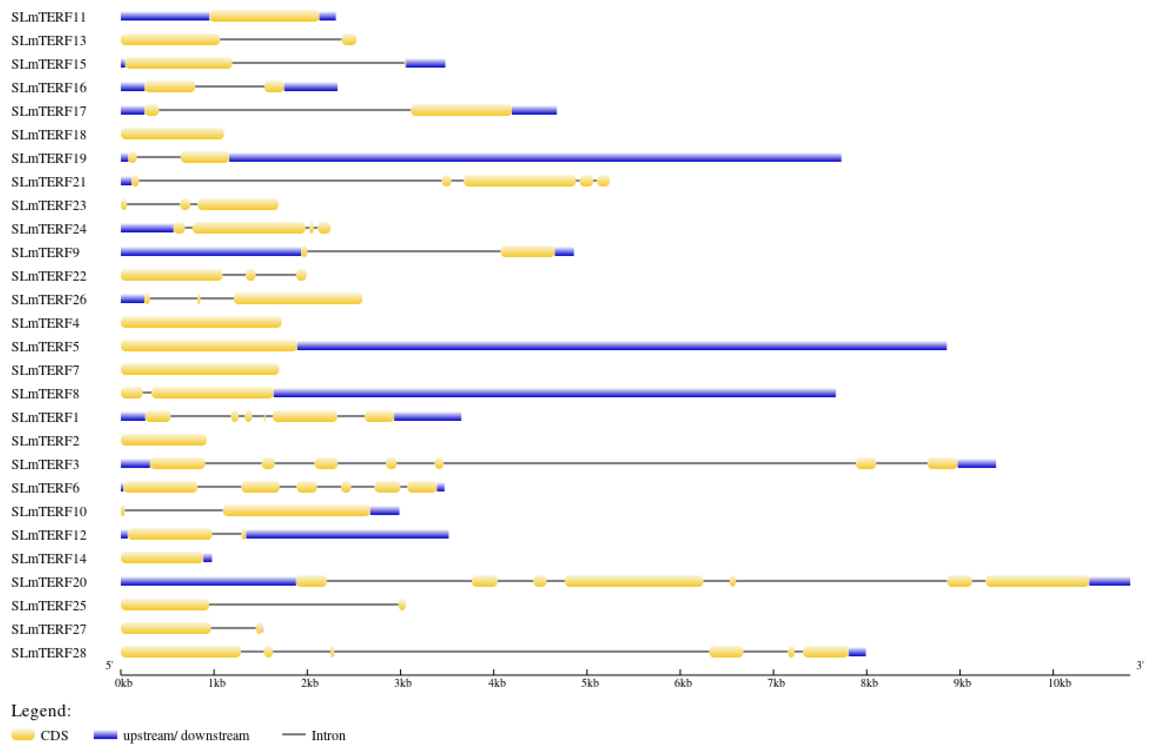 Plants 12 02862 g002 Plants 12 02862 g002