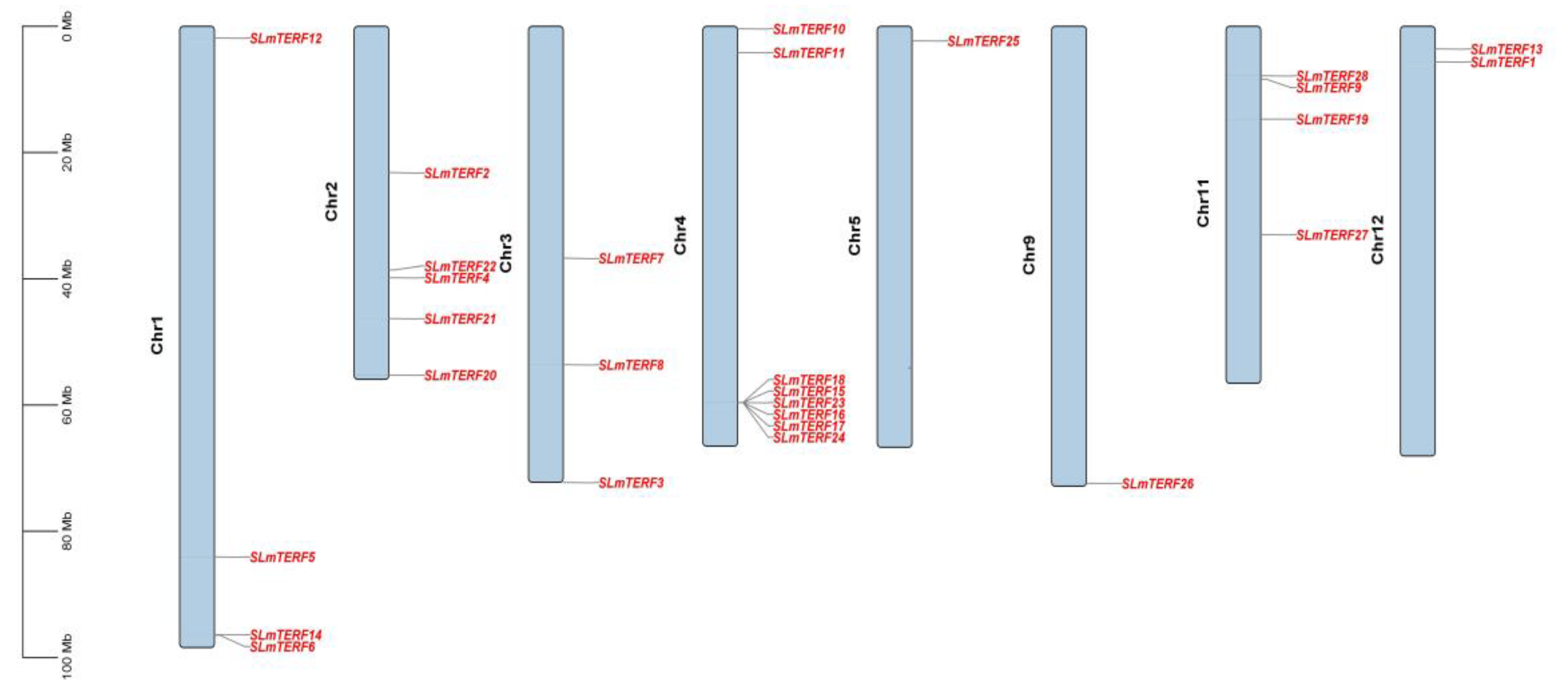 Plants 12 02862 g004 Plants 12 02862 g004