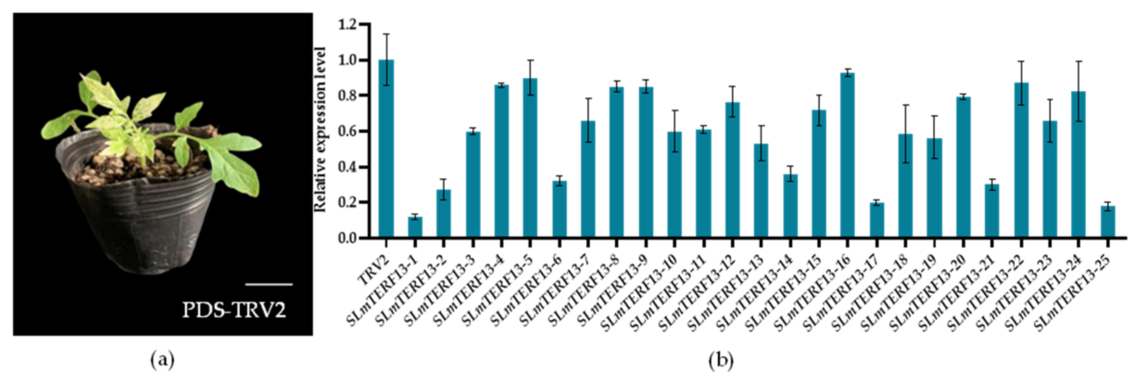Plants 12 02862 g009 Plants 12 02862 g009