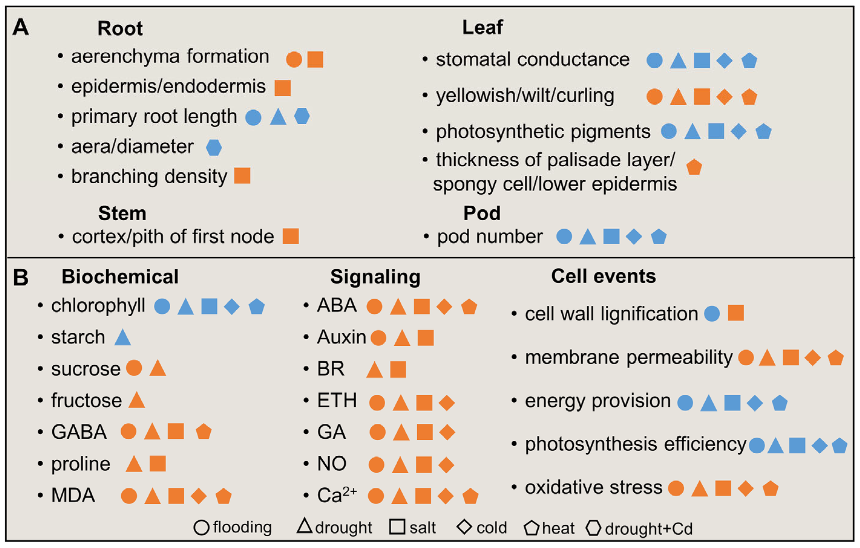 Plants 12 02865 g001 Plants 12 02865 g001