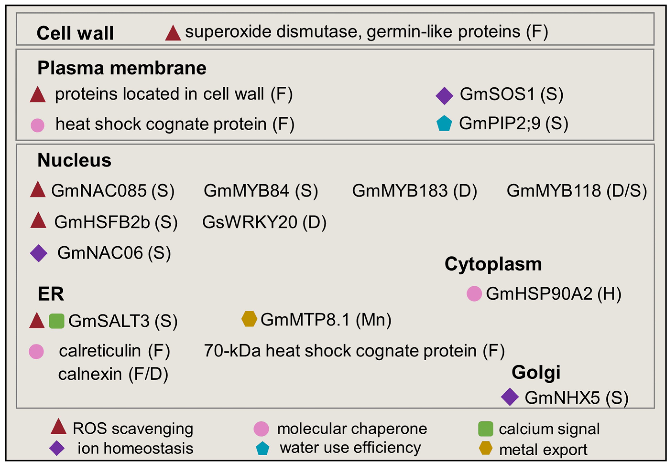 Plants 12 02865 g003 Plants 12 02865 g003