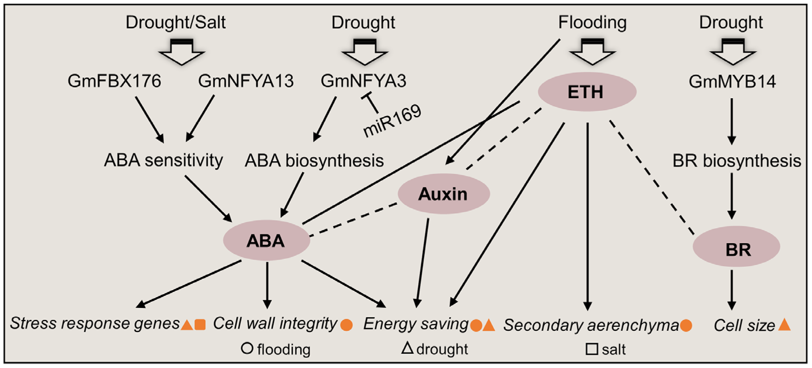 Plants 12 02865 g004 Plants 12 02865 g004