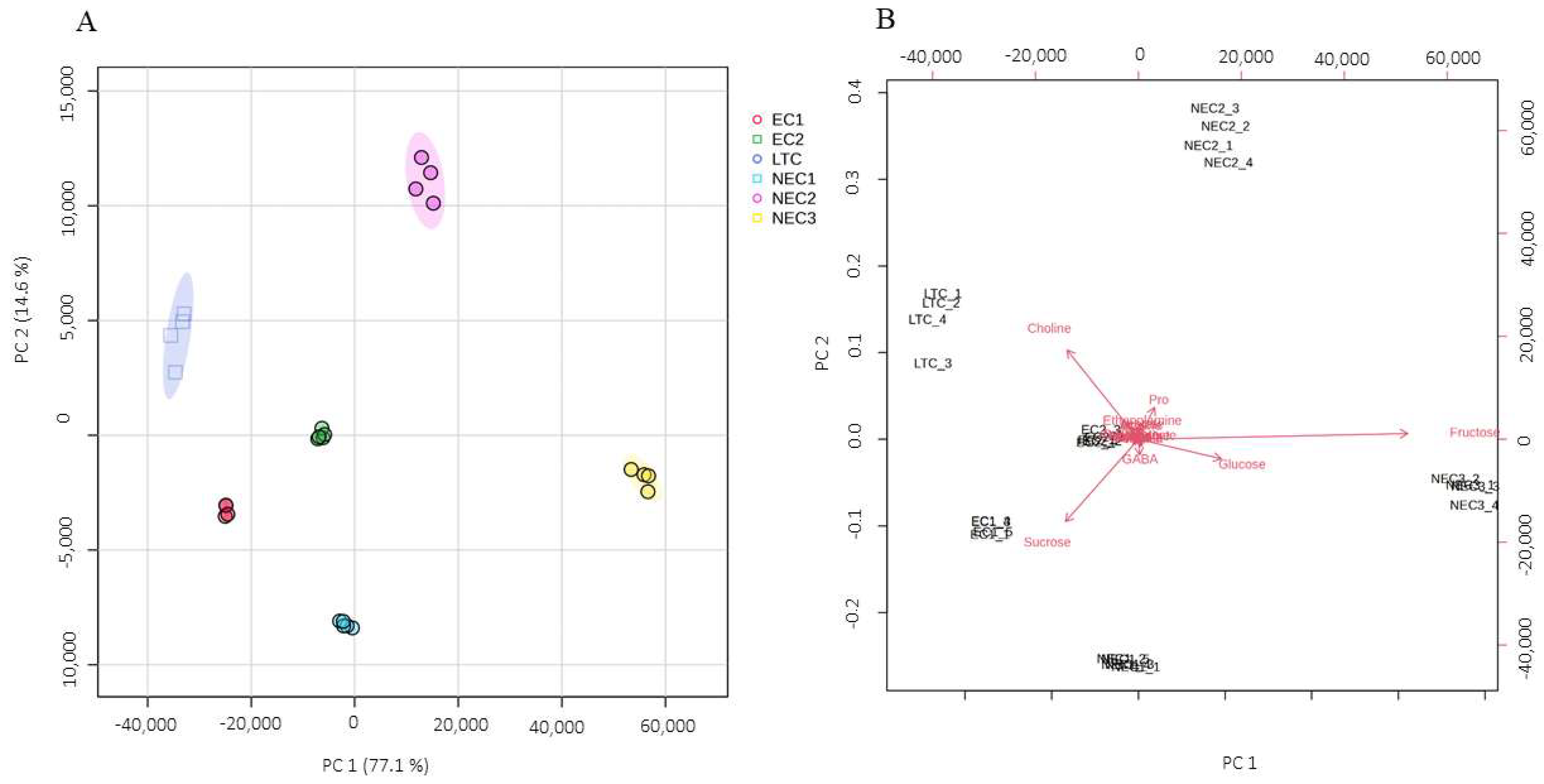 Plants 12 02869 g004 Plants 12 02869 g004
