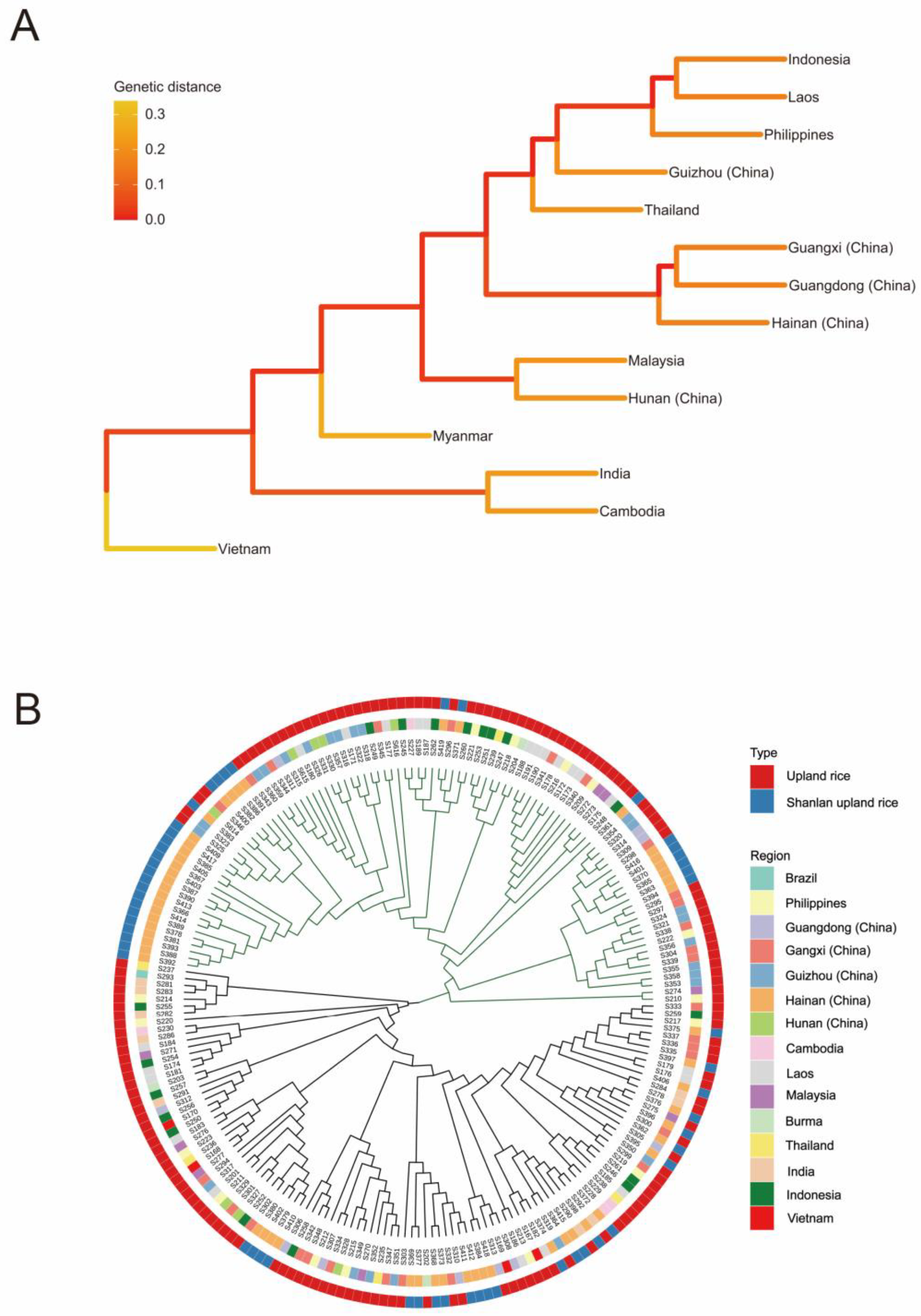 Plants Free Full Text Genetic Diversity and Relationship of