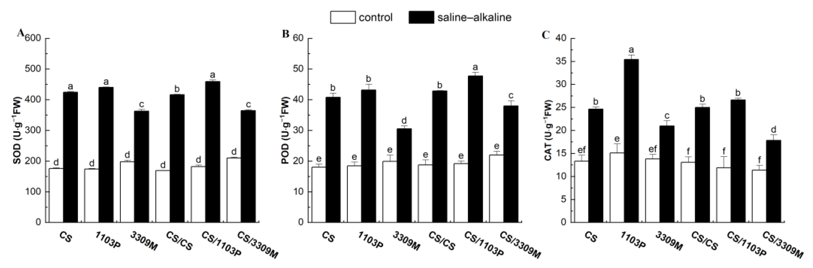 Plants 12 02881 g002 Plants 12 02881 g002
