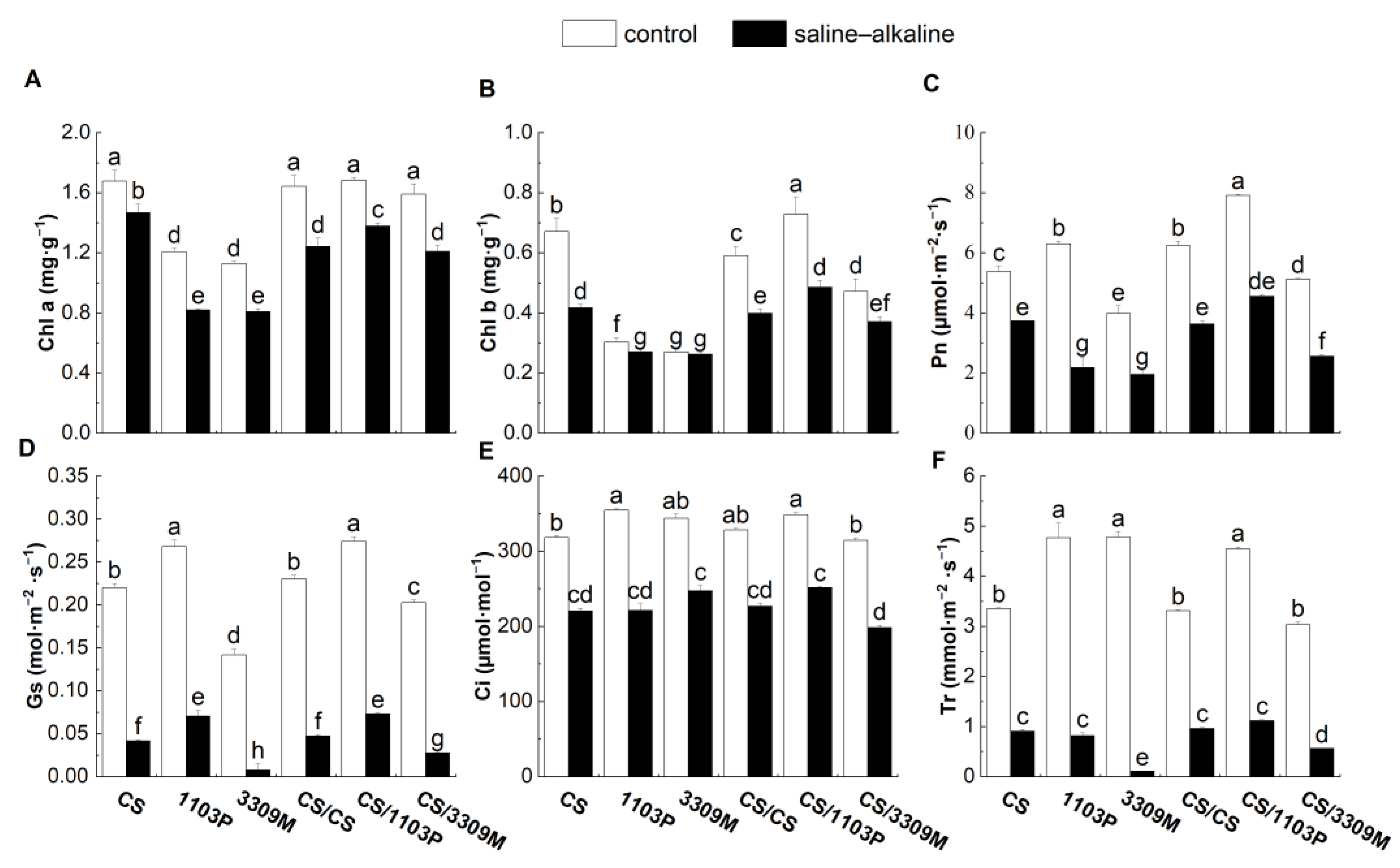 Plants 12 02881 g003 Plants 12 02881 g003