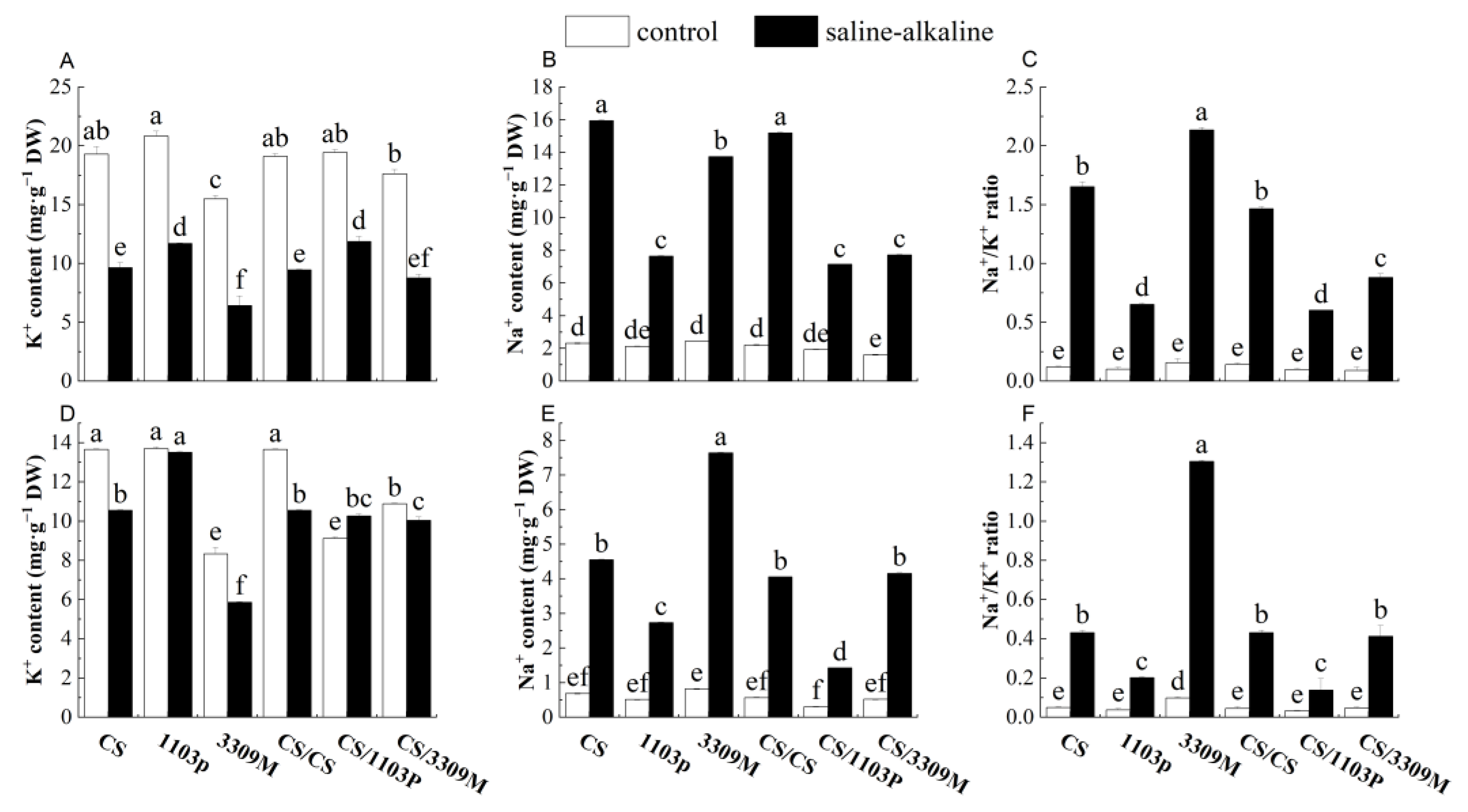 Plants 12 02881 g004 Plants 12 02881 g004