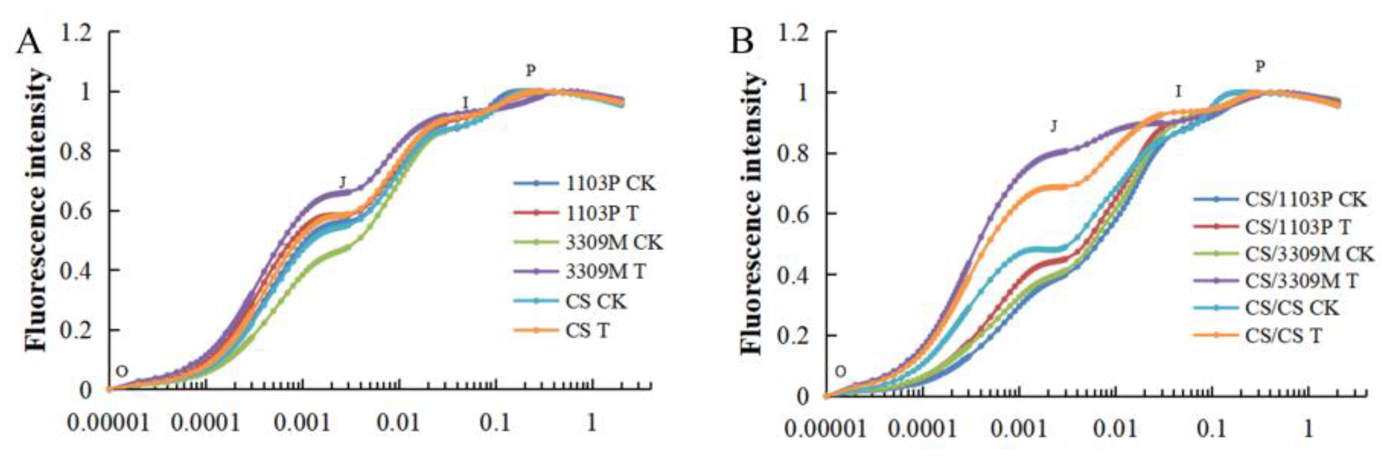 Plants 12 02881 g005 Plants 12 02881 g005