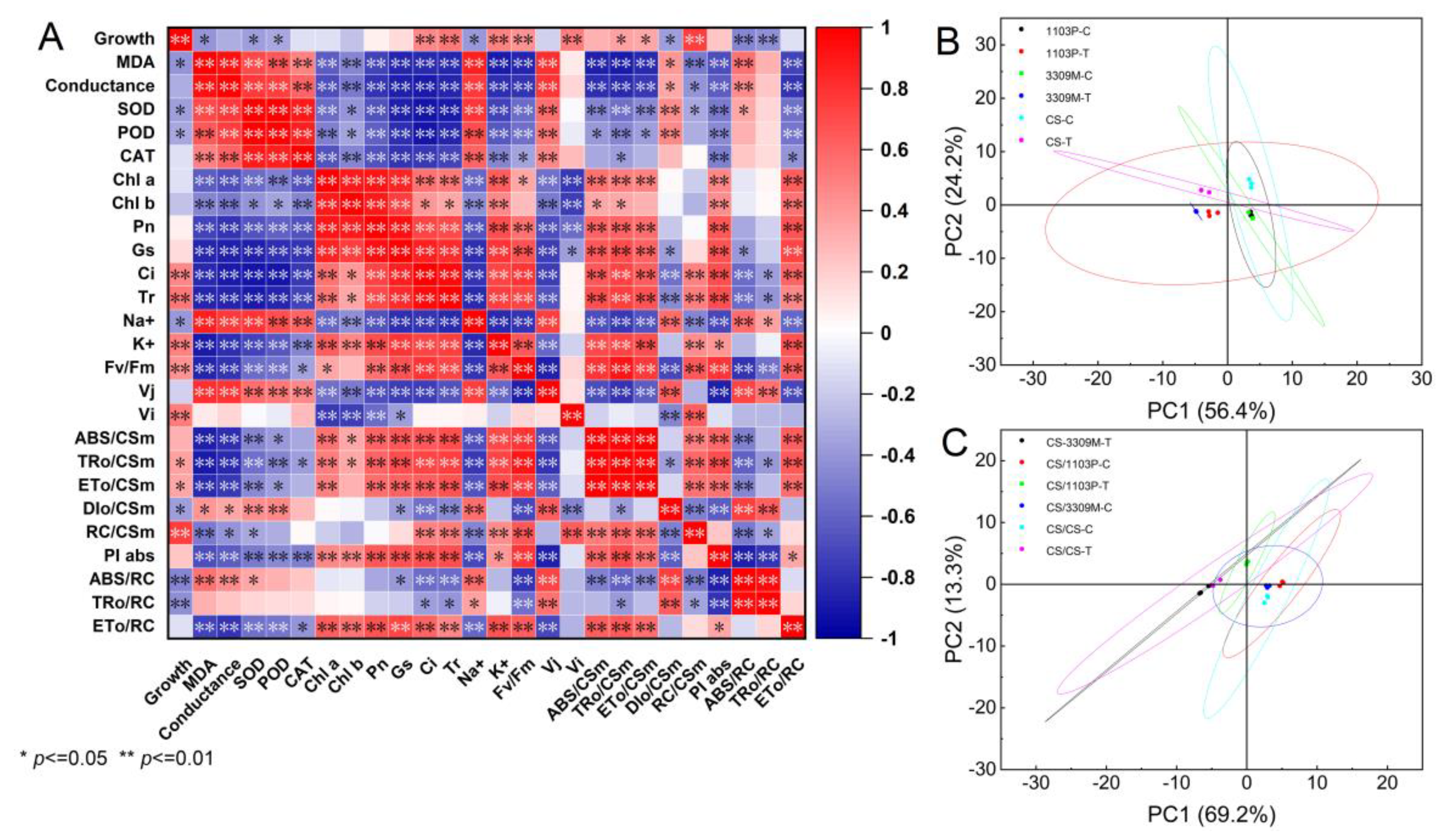 Plants 12 02881 g007 Plants 12 02881 g007