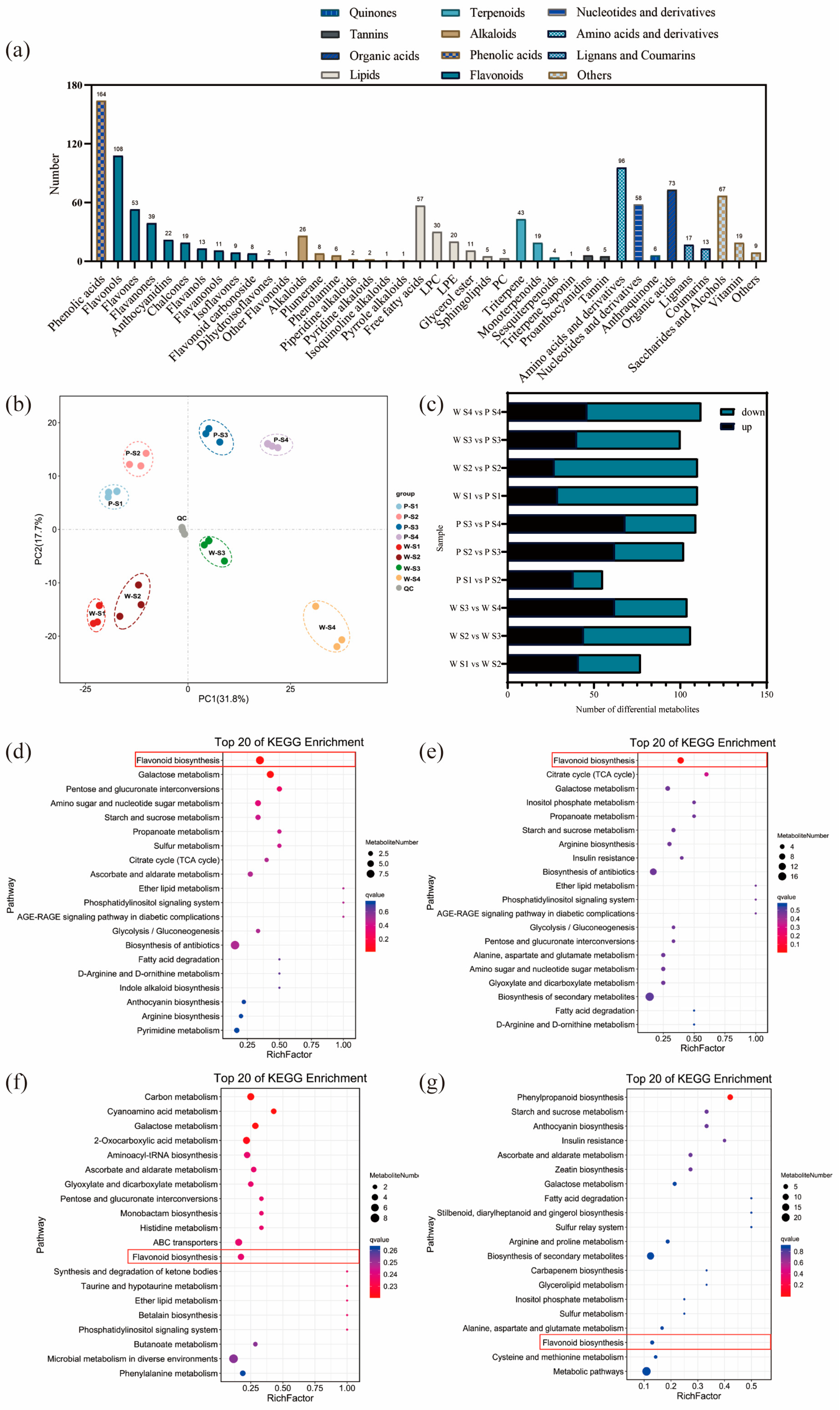 Plants 12 02897 g002