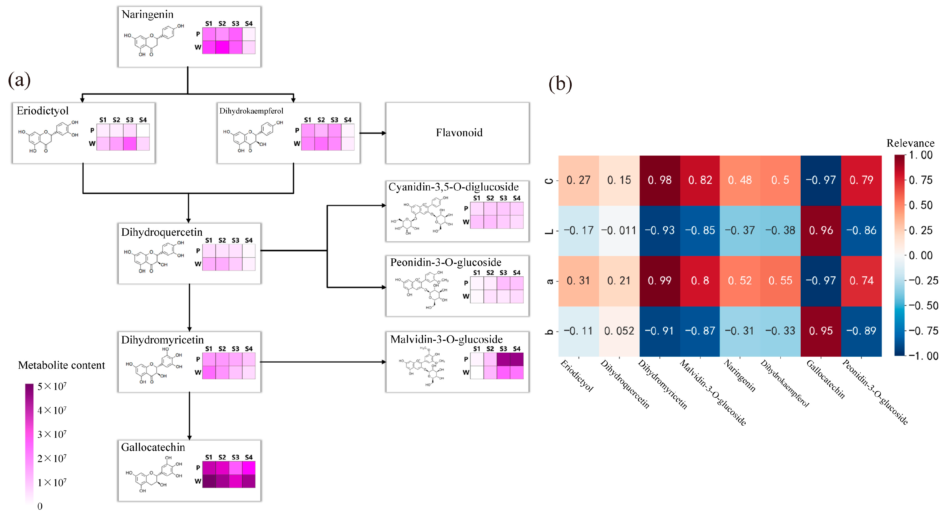 Plants 12 02897 g003