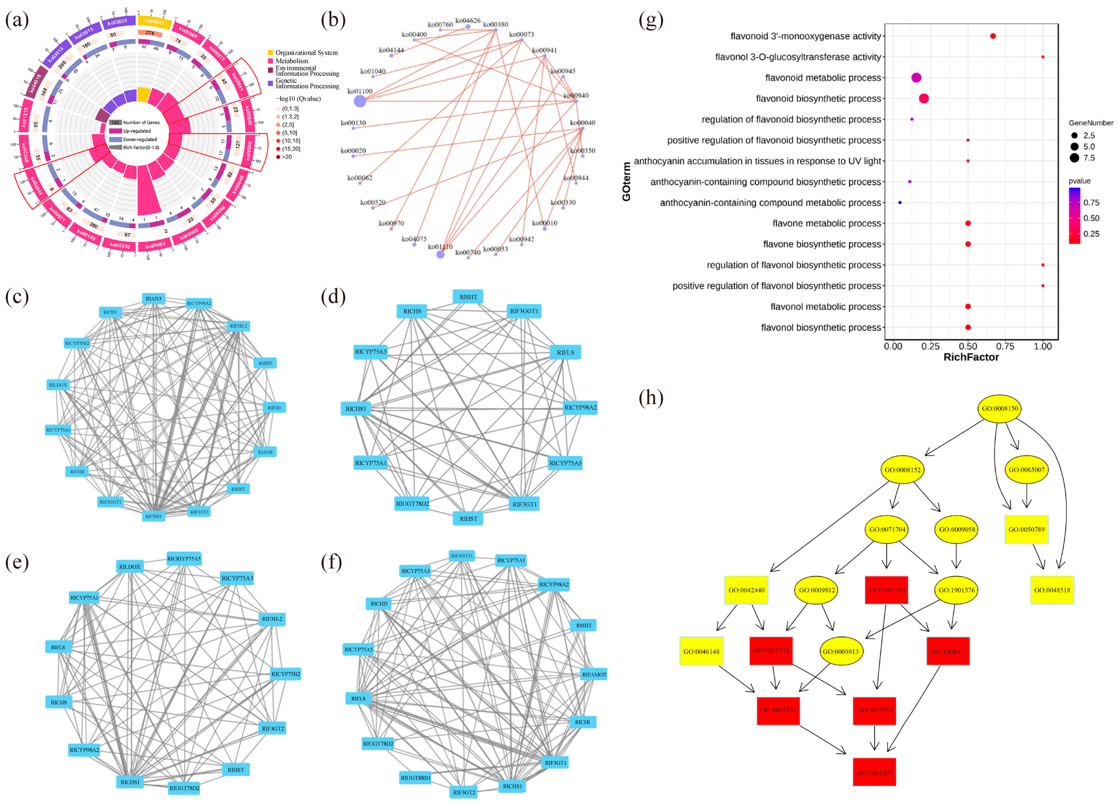 Plants 12 02897 g004