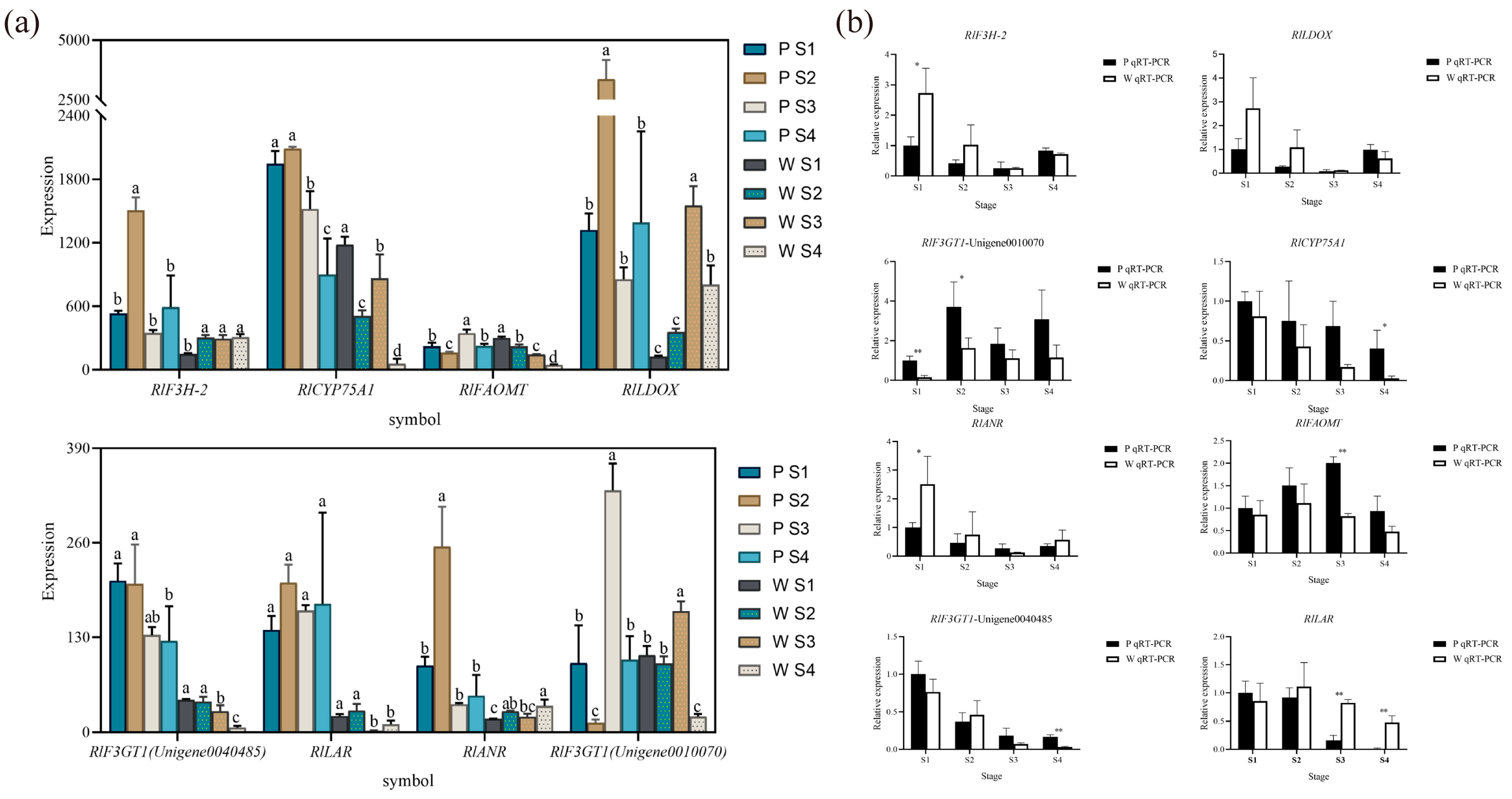 Plants 12 02897 g007