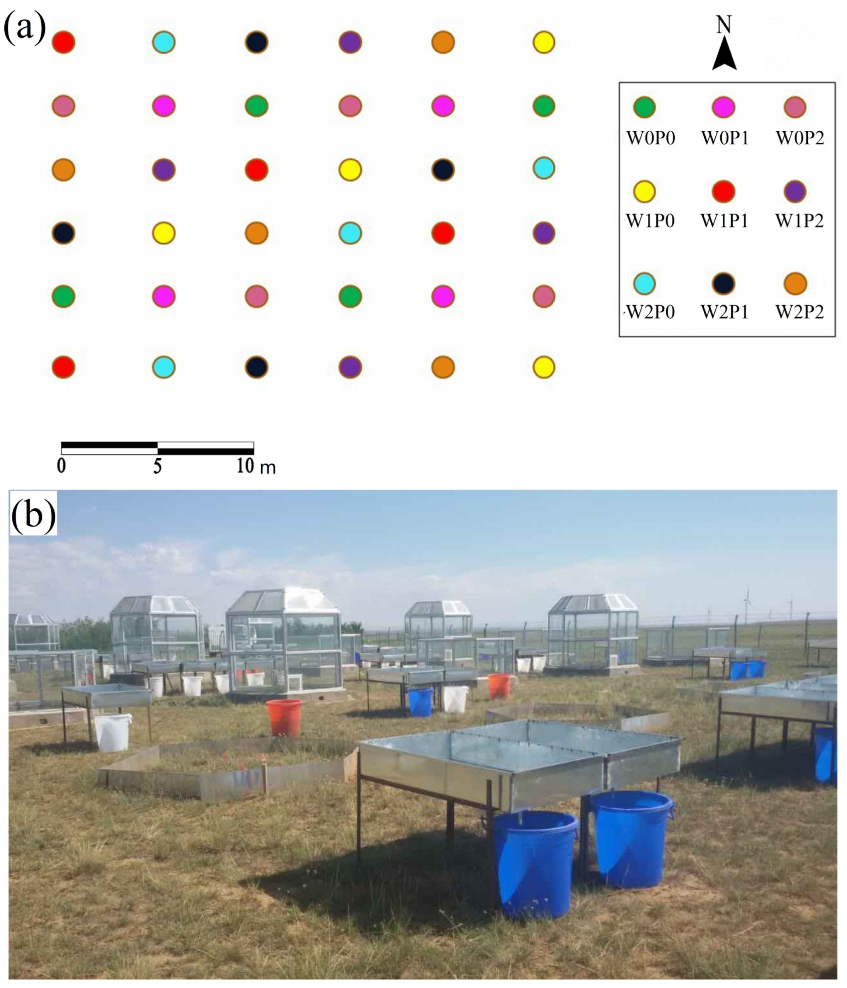 Plants 12 02903 g005 Plants 12 02903 g005