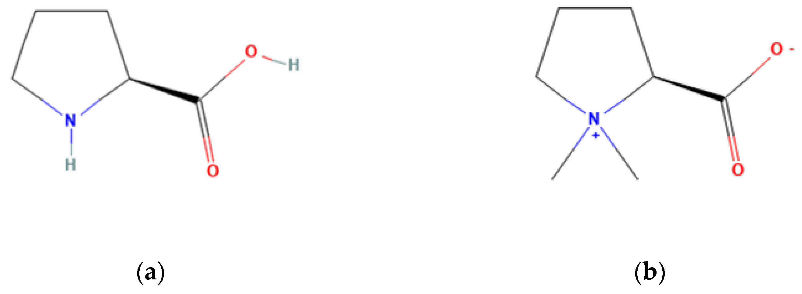 Plants 12 02907 g002 Plants 12 02907 g002