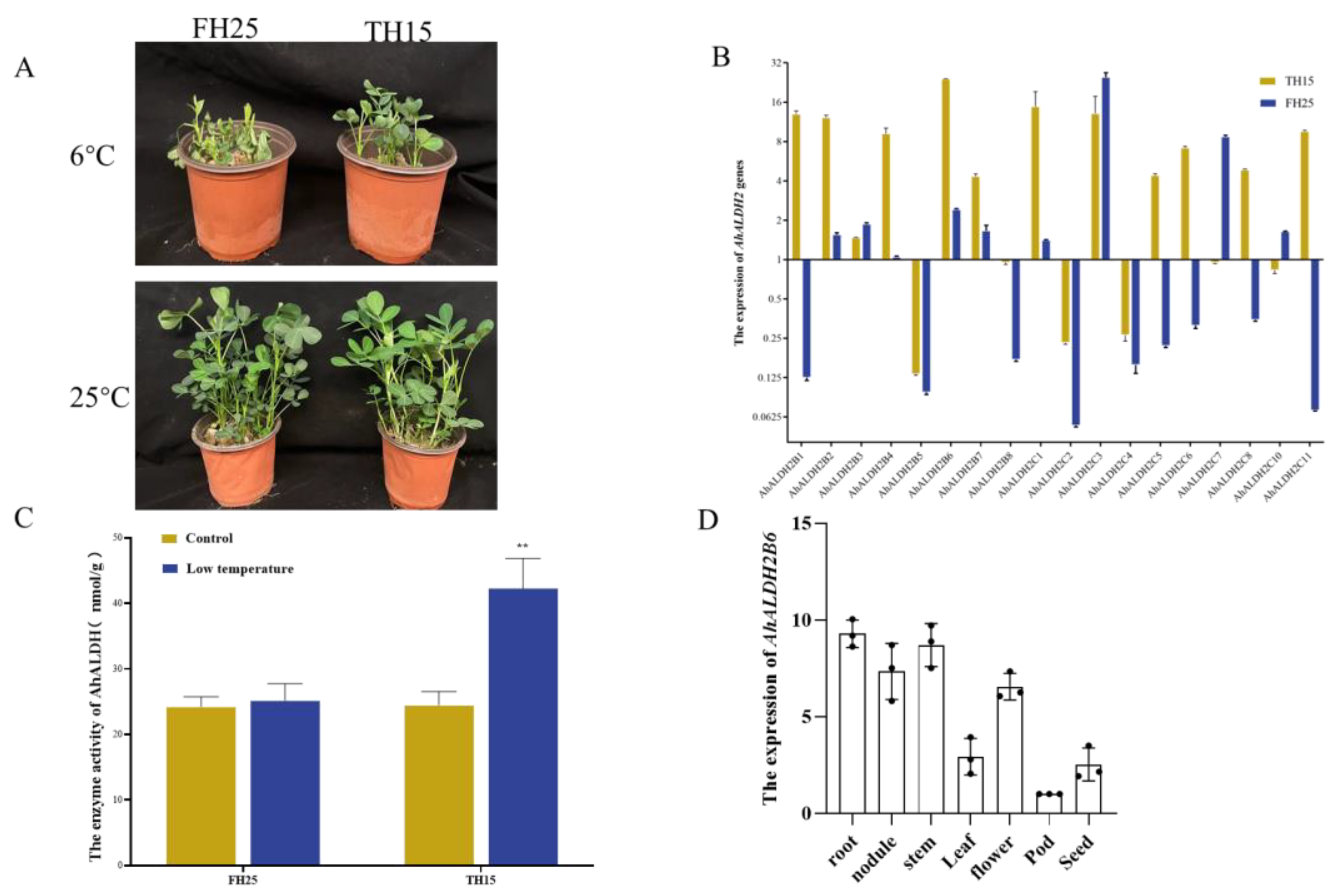 Plants 12 02928 g001