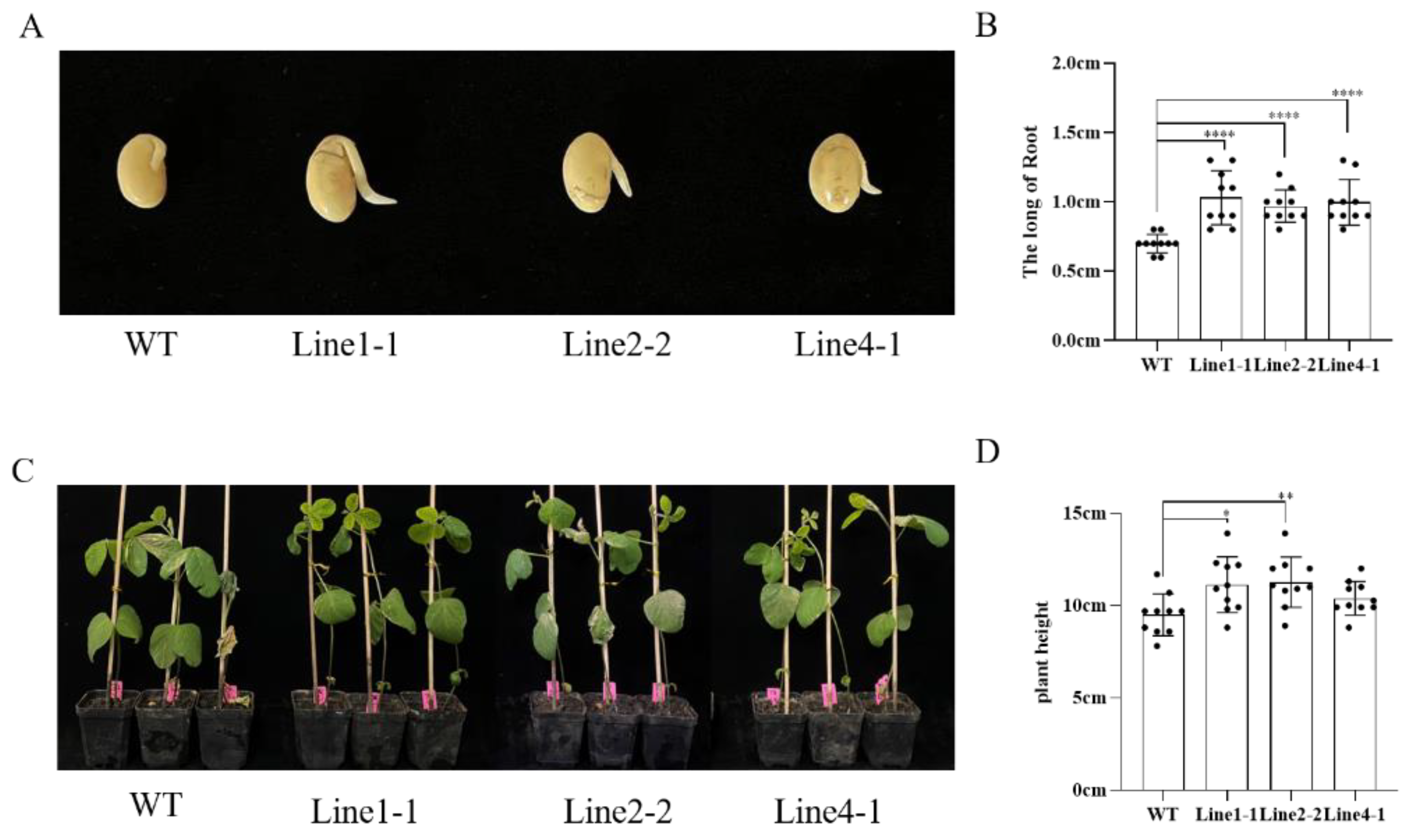 Plants 12 02928 g003