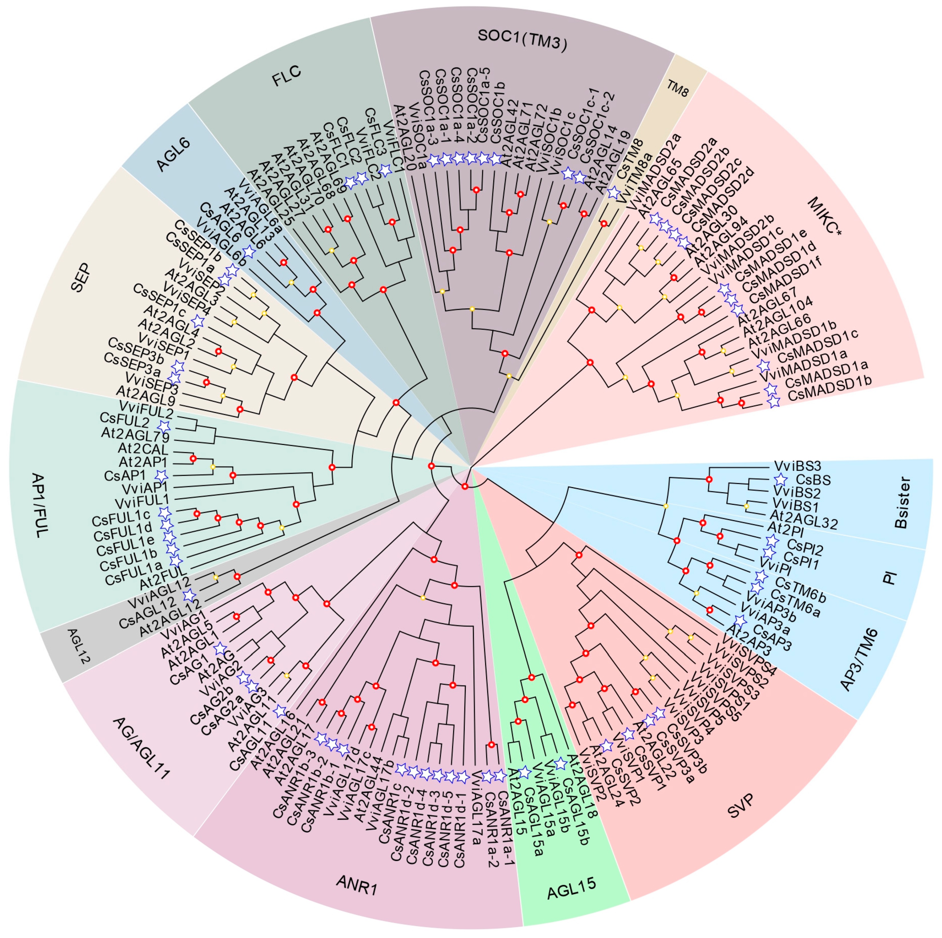 Plants 12 02929 g001