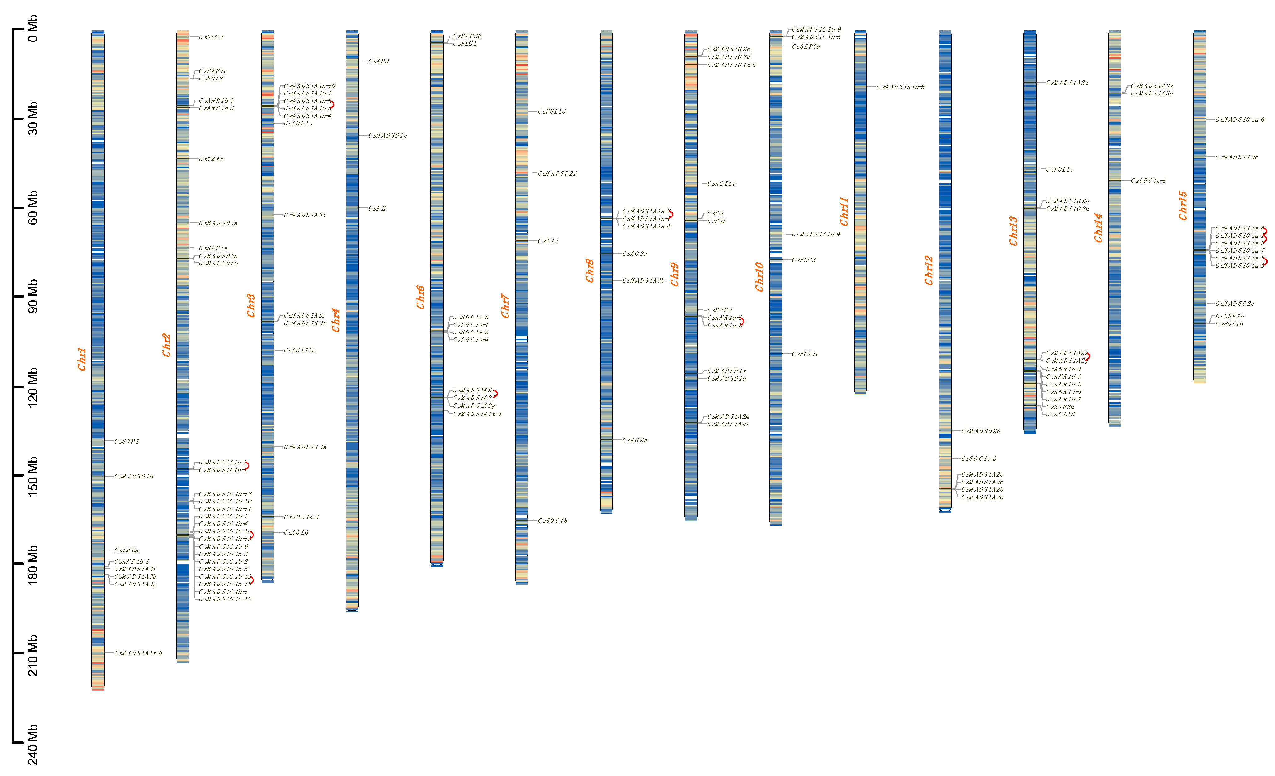 Plants 12 02929 g003