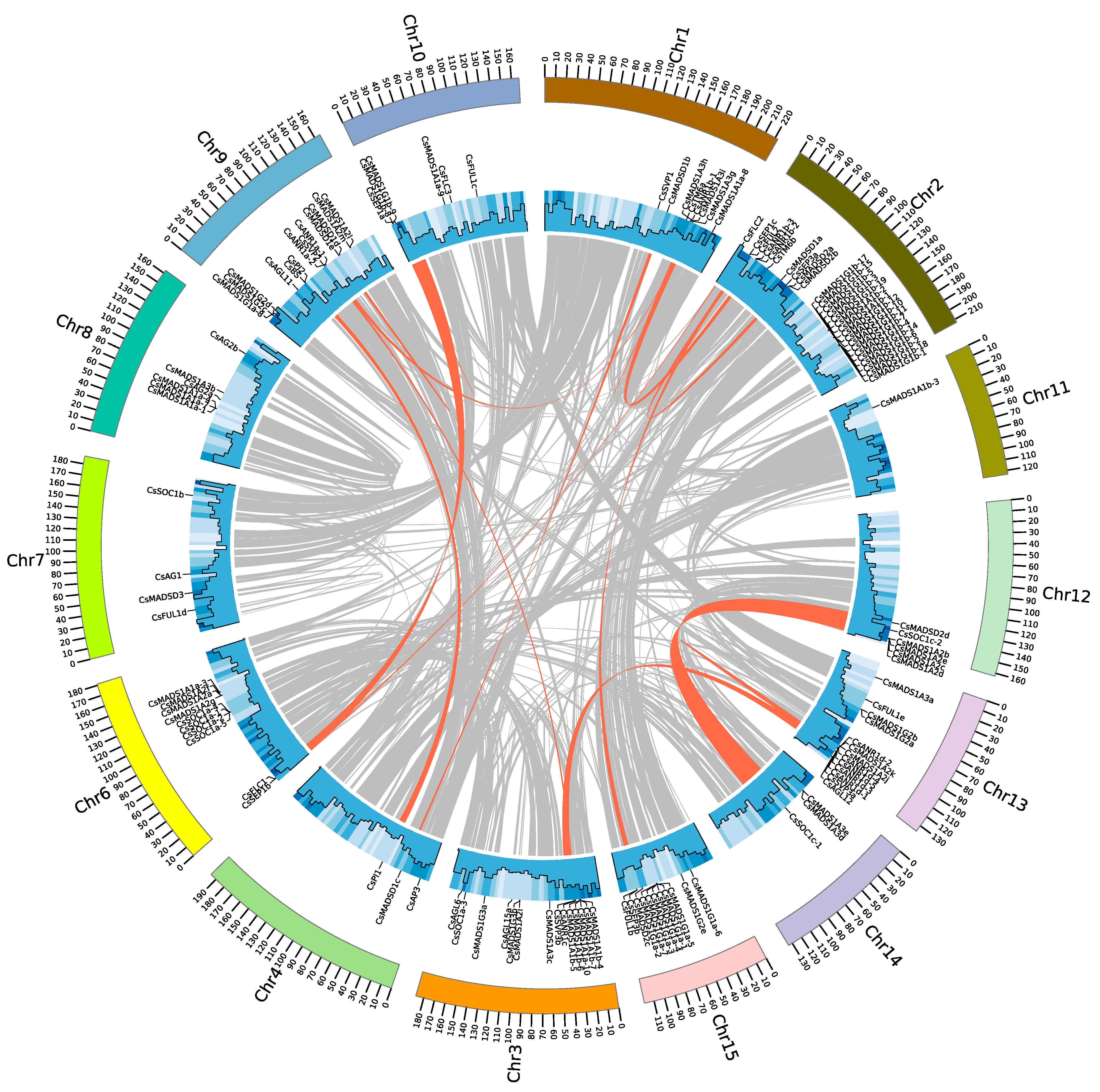 Plants 12 02929 g004