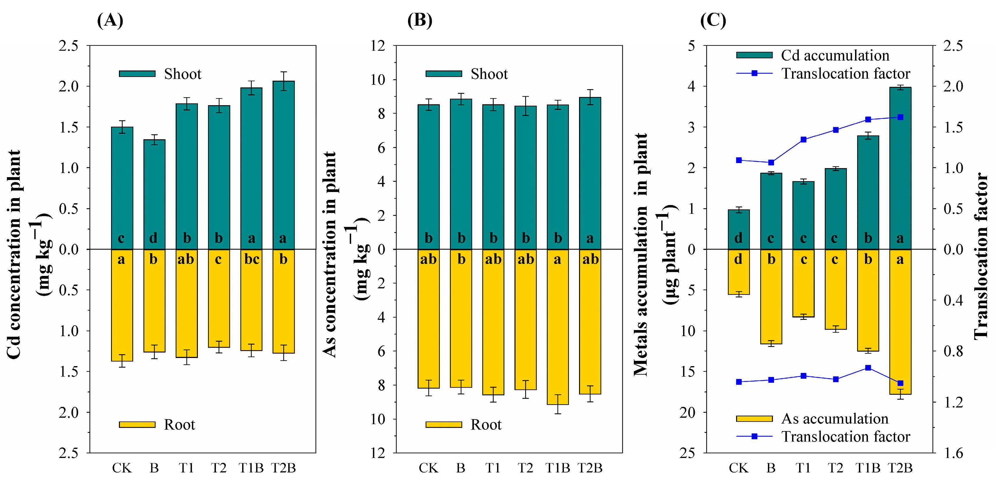 Plants 12 02939 g001