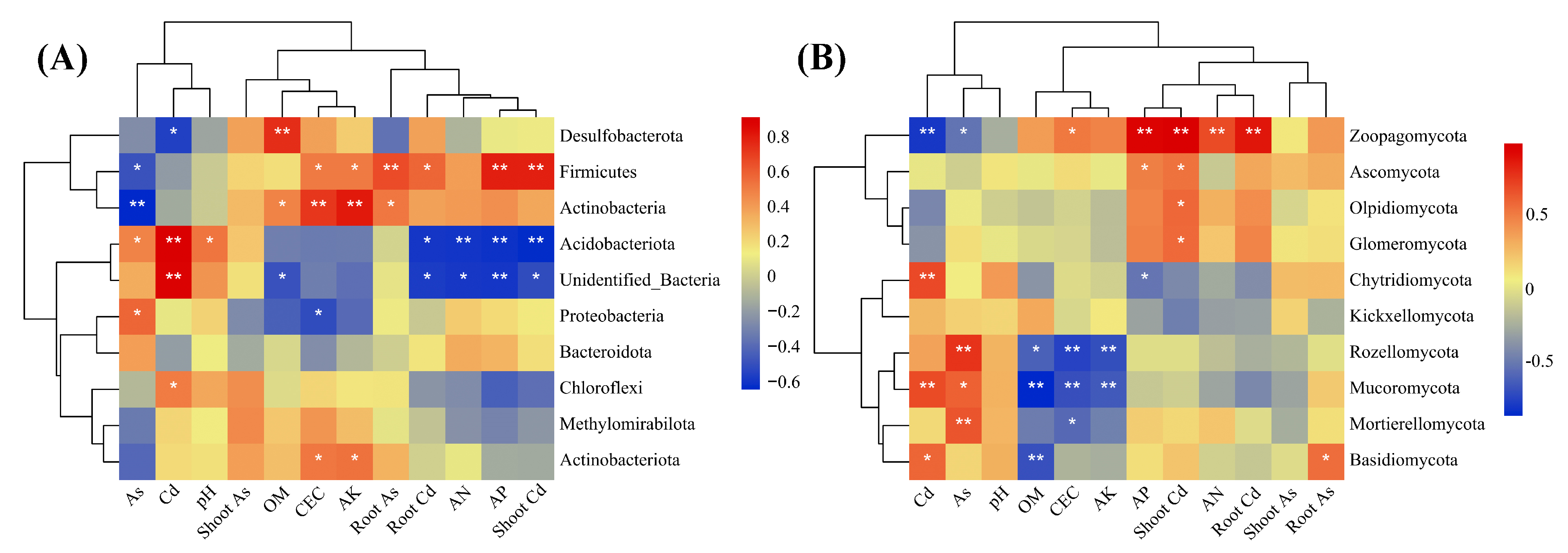 Plants 12 02939 g006
